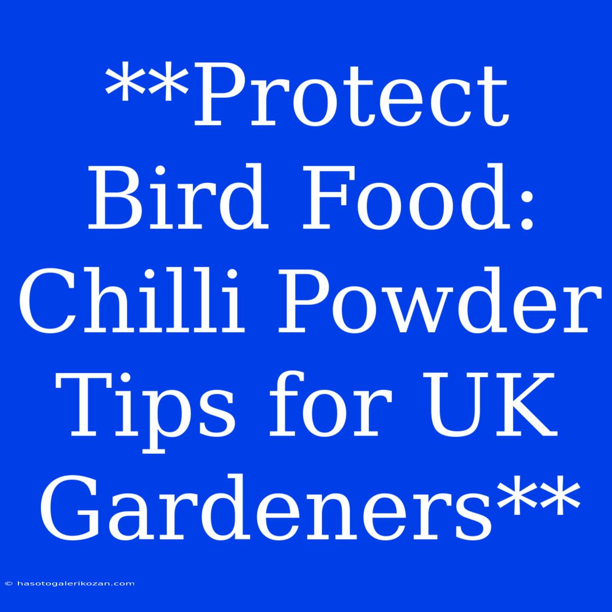 **Protect Bird Food: Chilli Powder Tips For UK Gardeners**