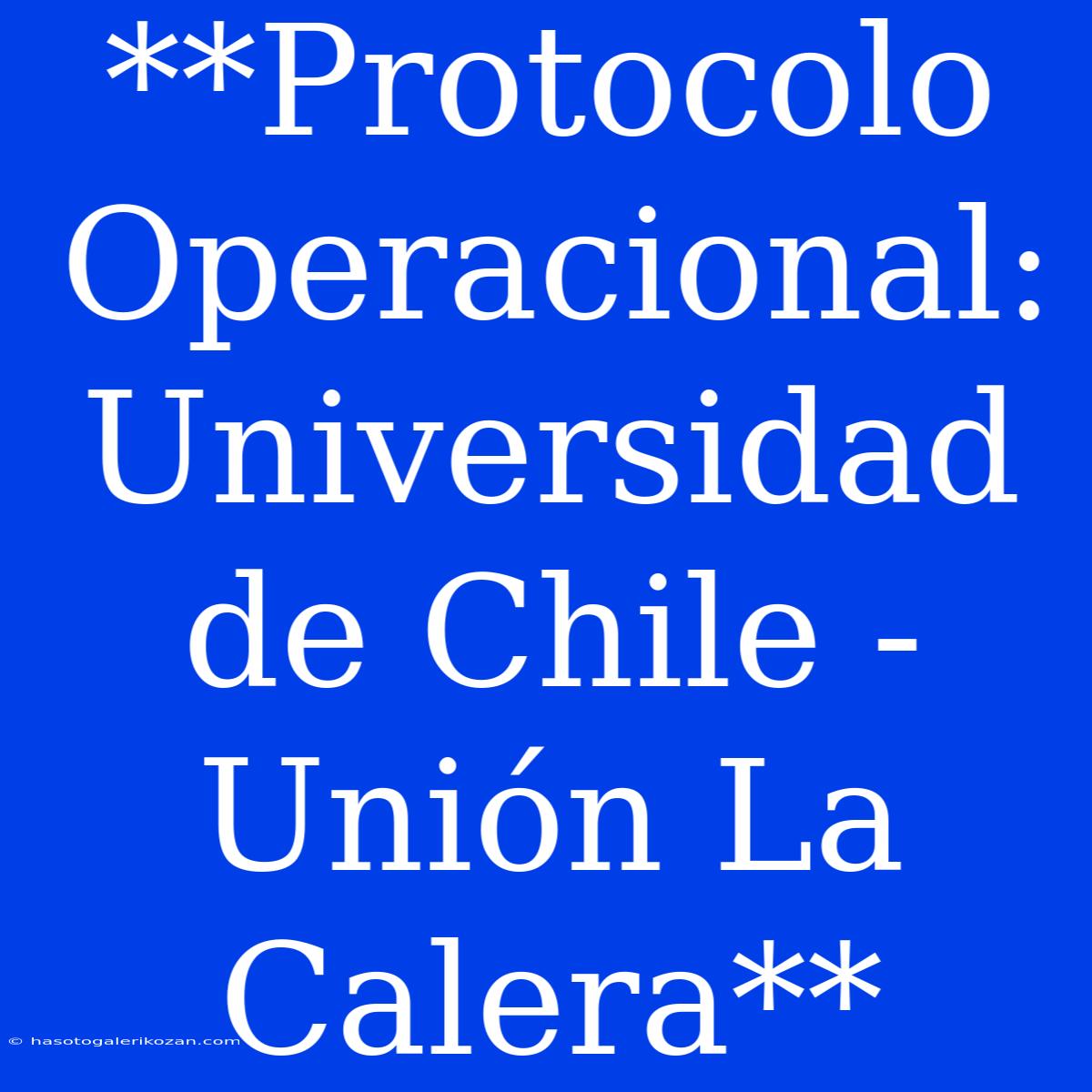 **Protocolo Operacional: Universidad De Chile - Unión La Calera**