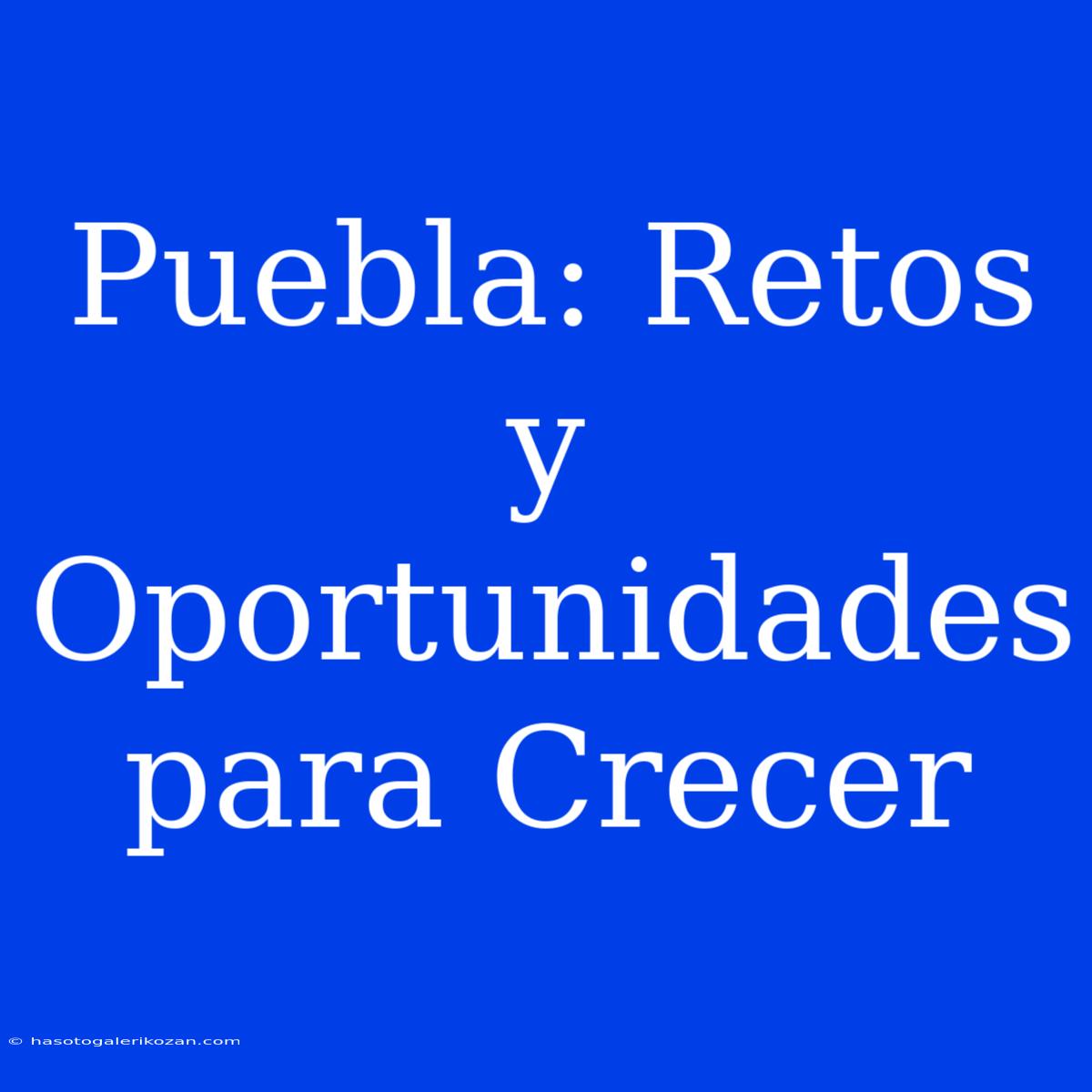 Puebla: Retos Y Oportunidades Para Crecer