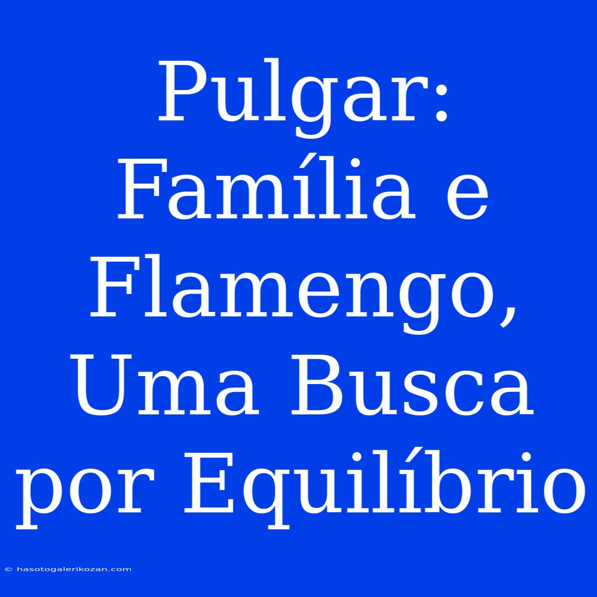 Pulgar: Família E Flamengo, Uma Busca Por Equilíbrio