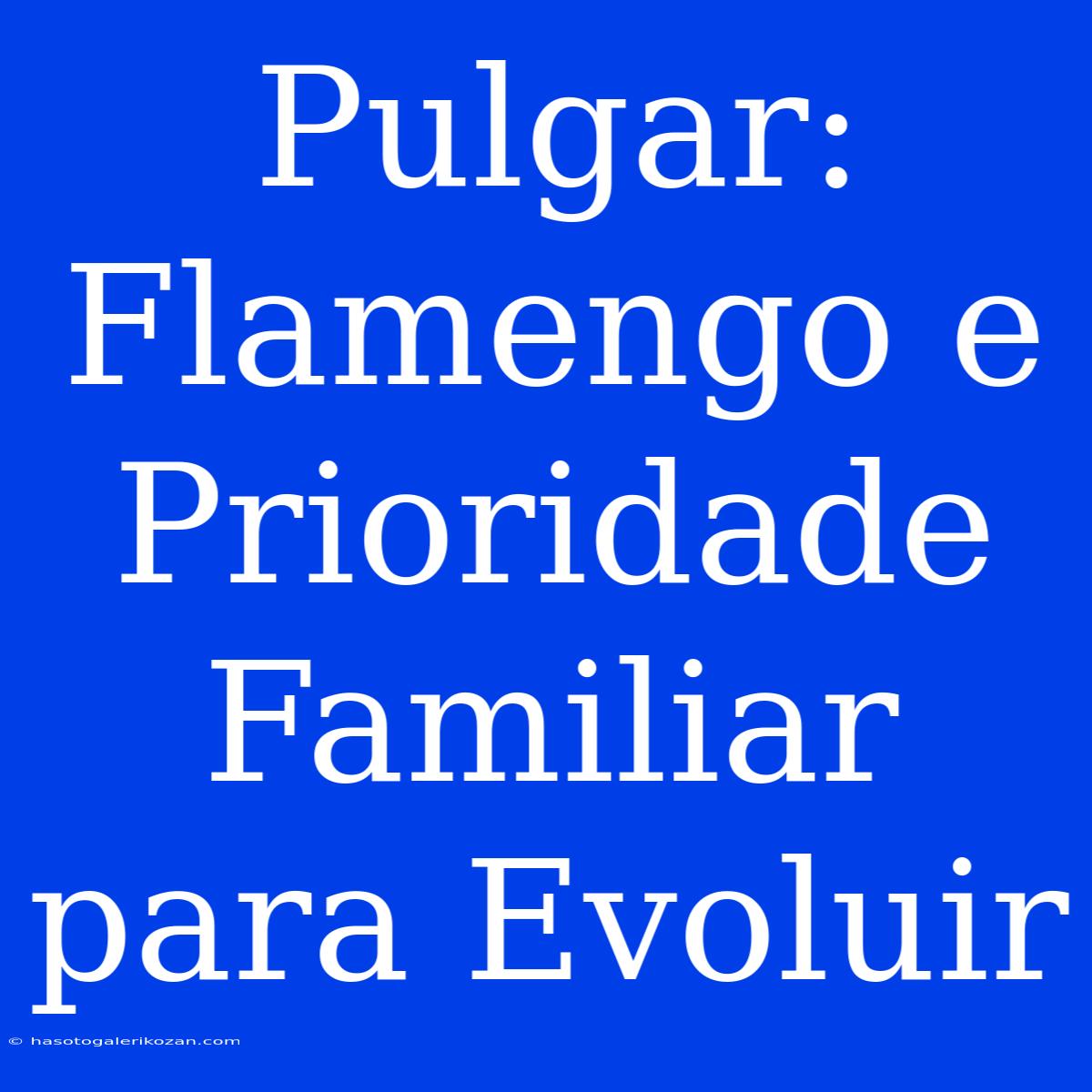 Pulgar: Flamengo E Prioridade Familiar Para Evoluir