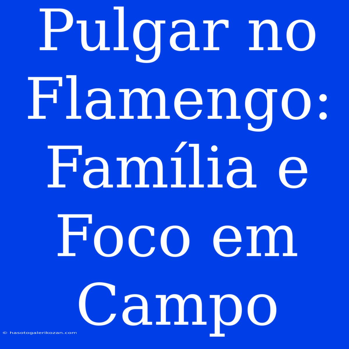 Pulgar No Flamengo: Família E Foco Em Campo