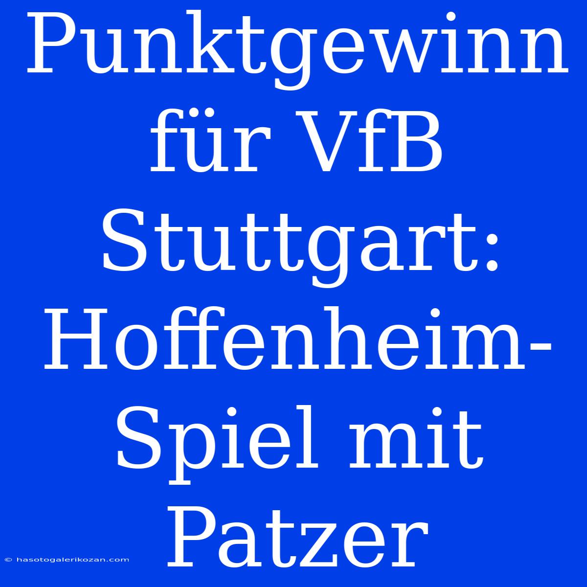 Punktgewinn Für VfB Stuttgart: Hoffenheim-Spiel Mit Patzer 