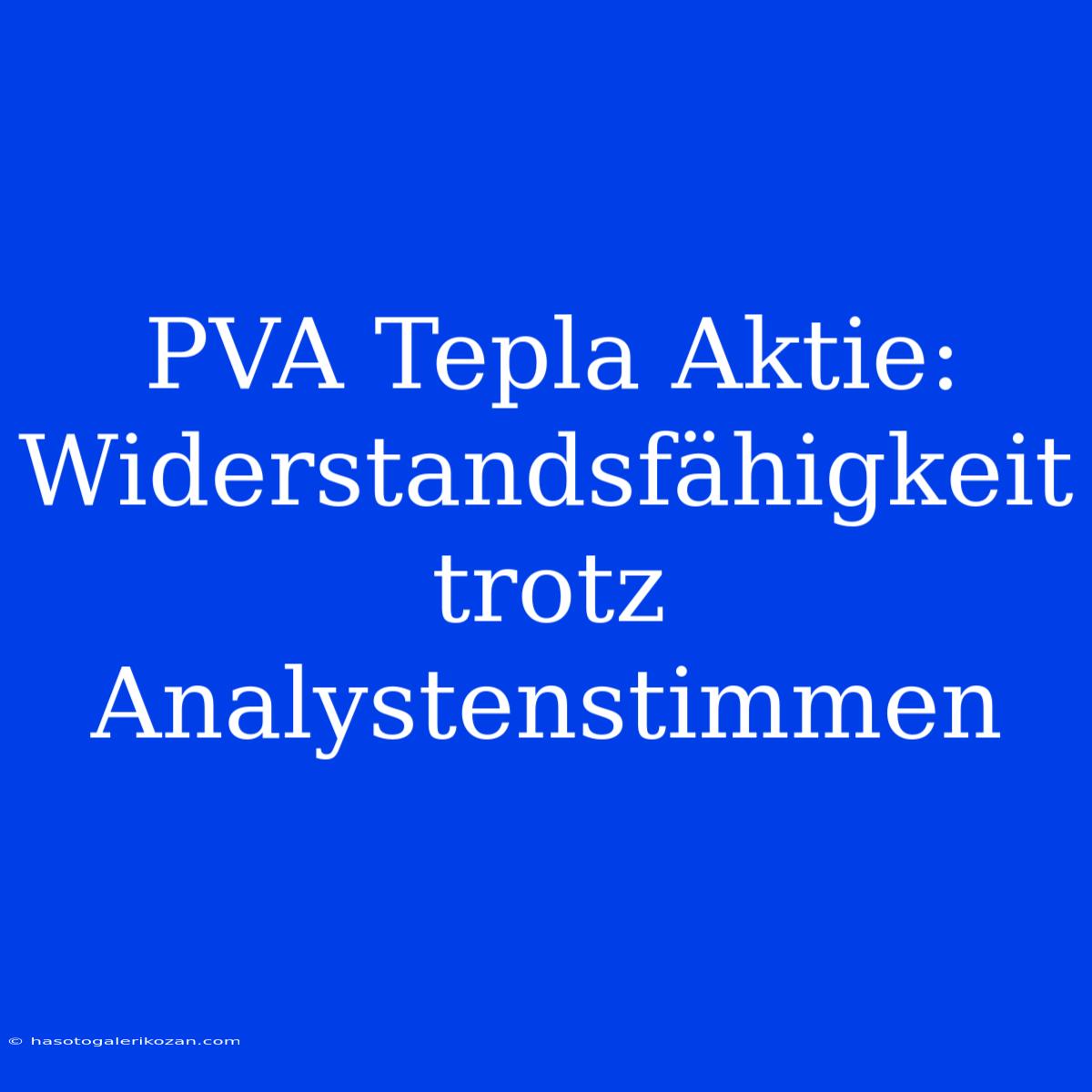 PVA Tepla Aktie: Widerstandsfähigkeit Trotz Analystenstimmen