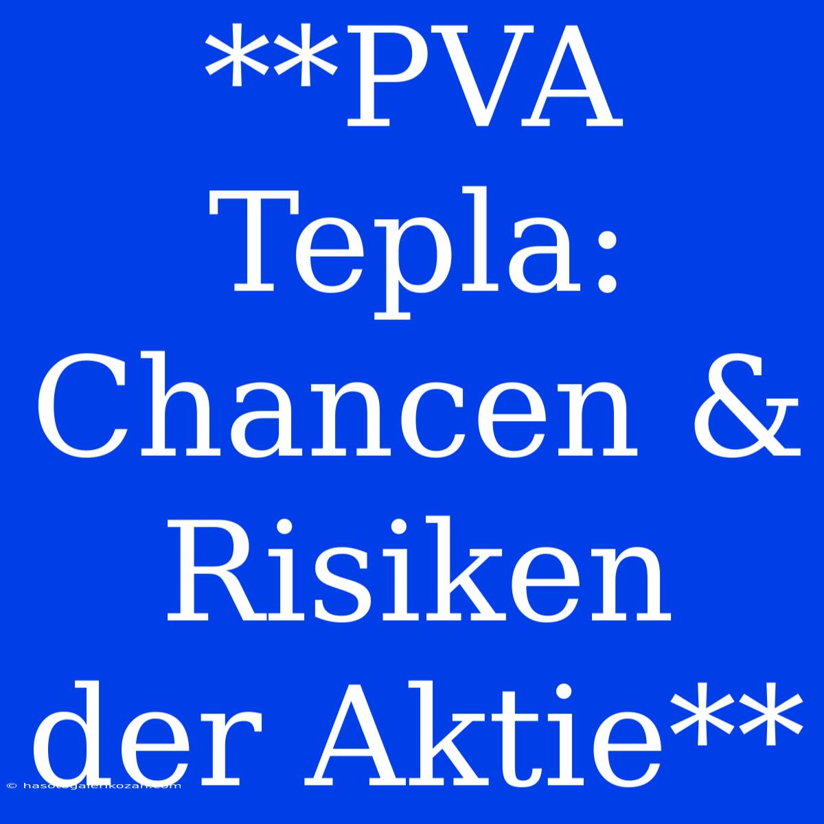 **PVA Tepla: Chancen & Risiken Der Aktie**