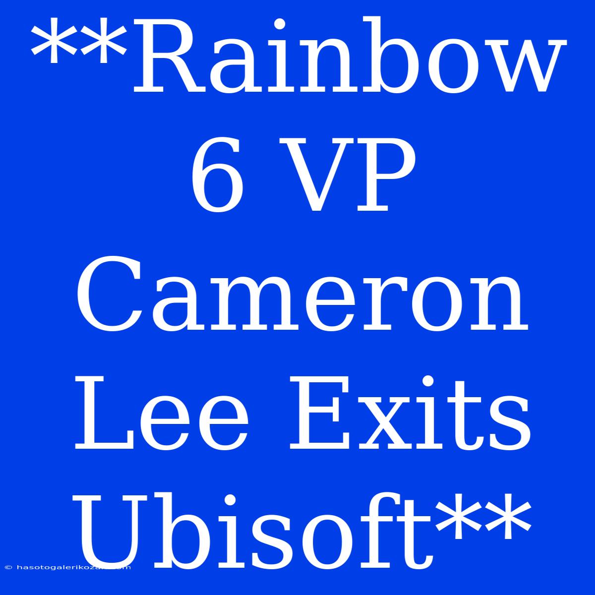 **Rainbow 6 VP Cameron Lee Exits Ubisoft**