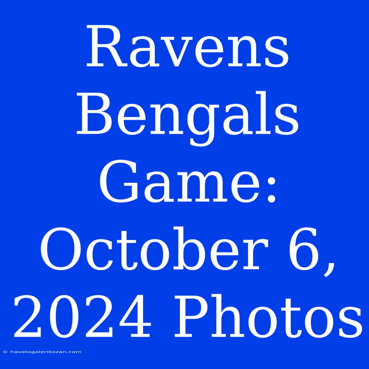 Ravens Bengals Game: October 6, 2024 Photos