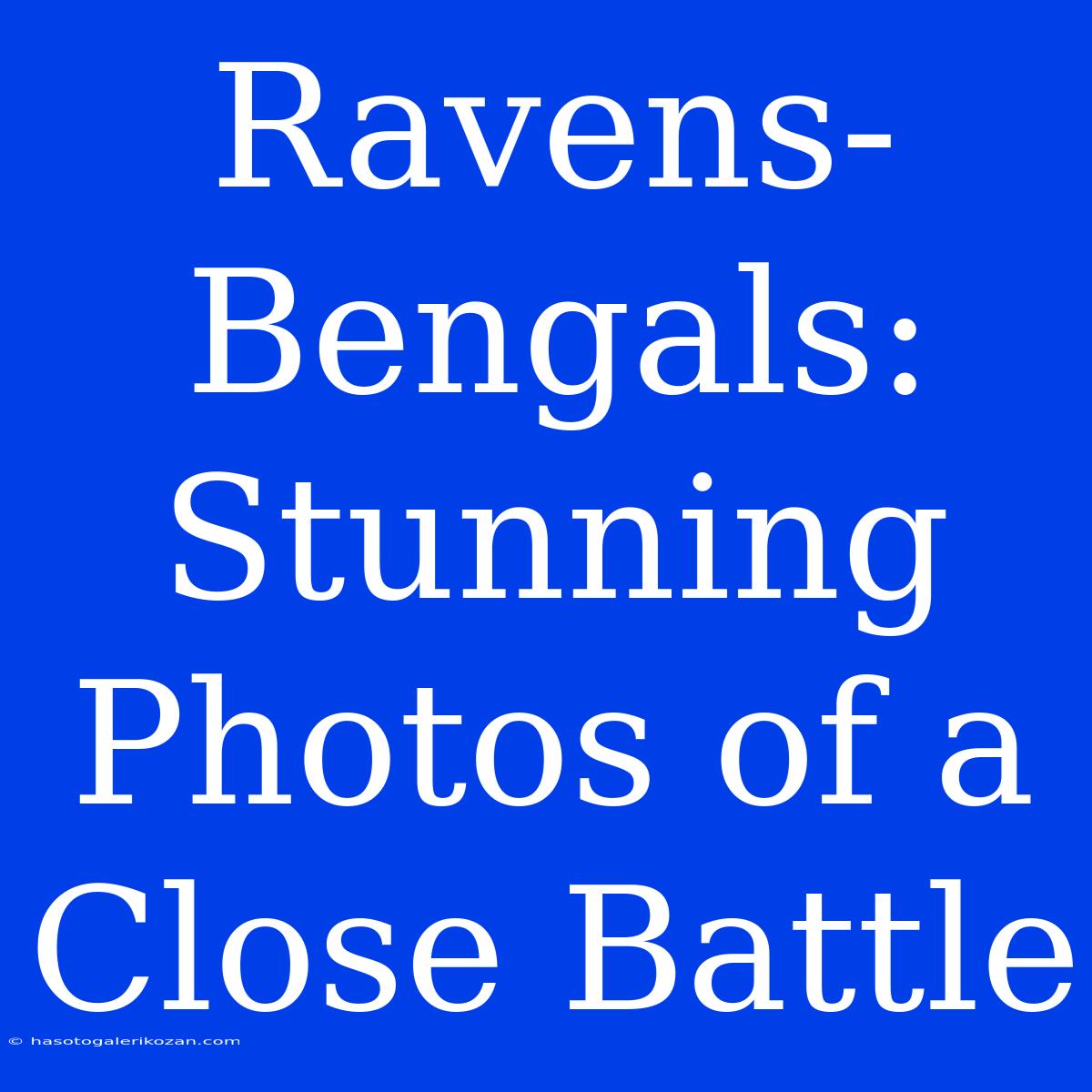 Ravens-Bengals: Stunning Photos Of A Close Battle