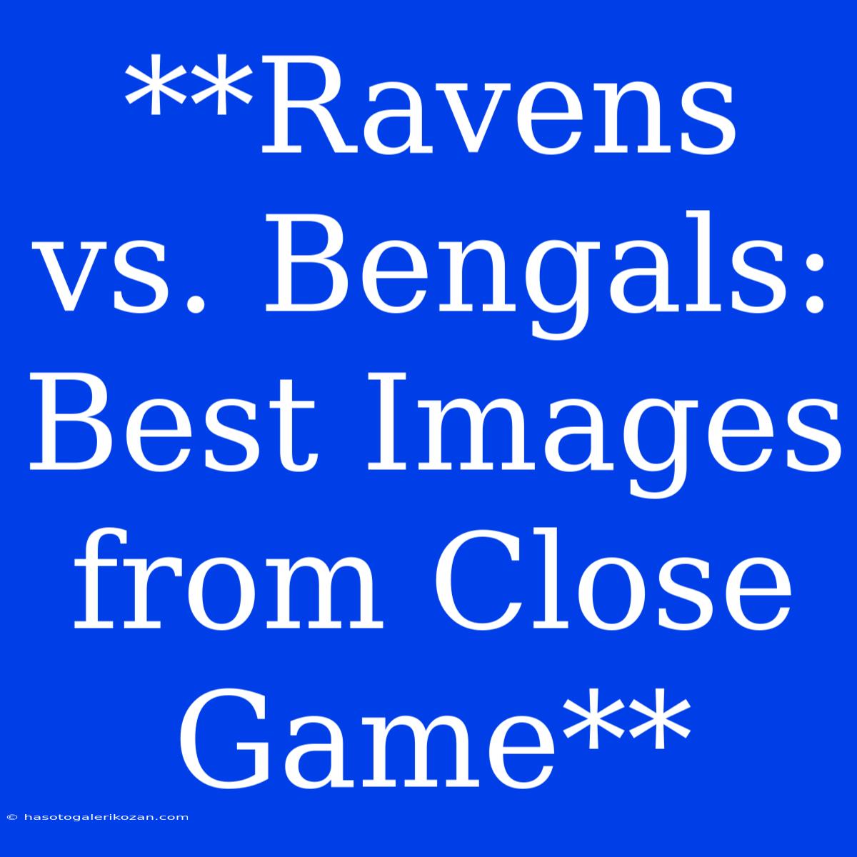 **Ravens Vs. Bengals: Best Images From Close Game**