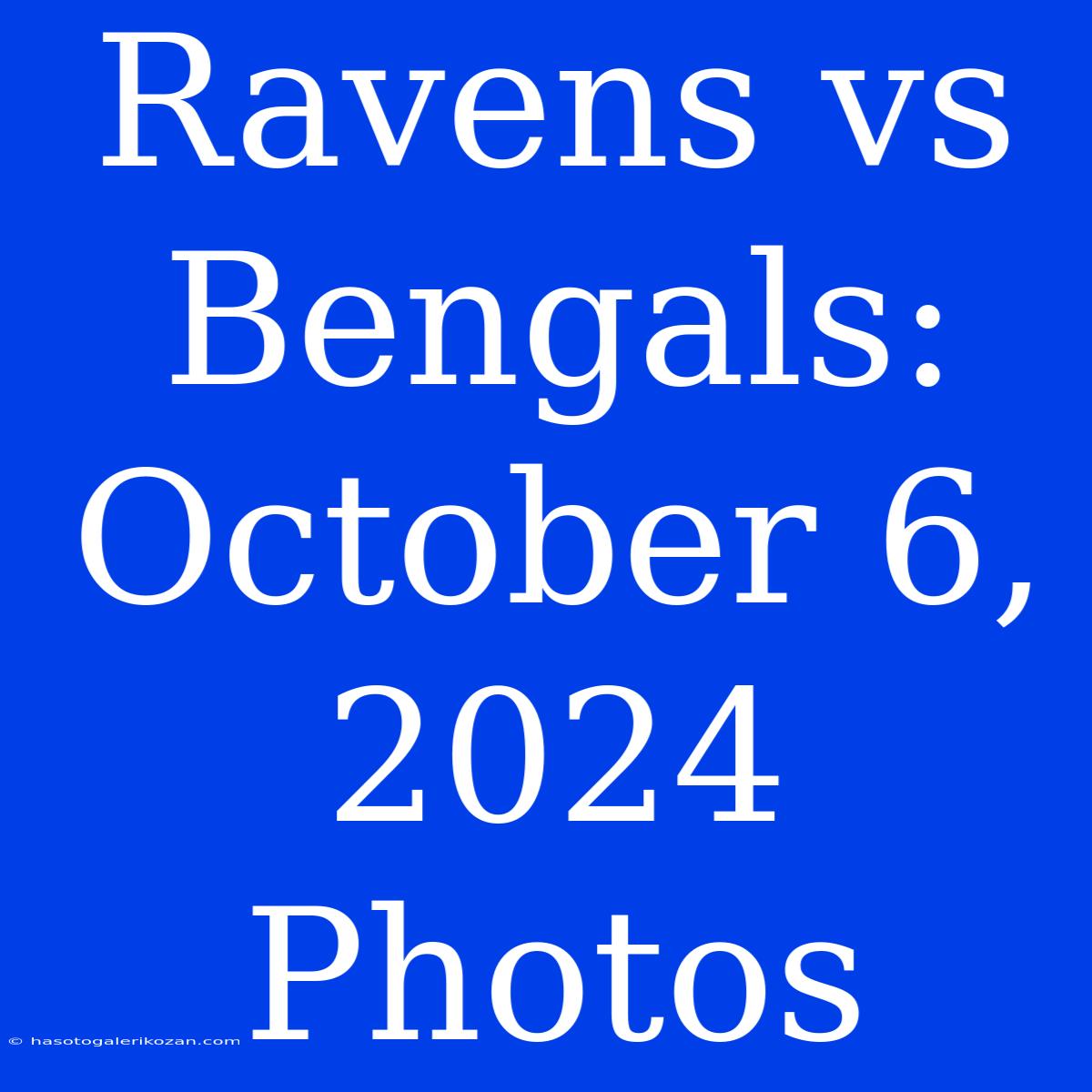 Ravens Vs Bengals: October 6, 2024 Photos