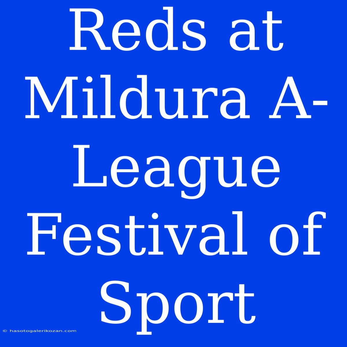 Reds At Mildura A-League Festival Of Sport