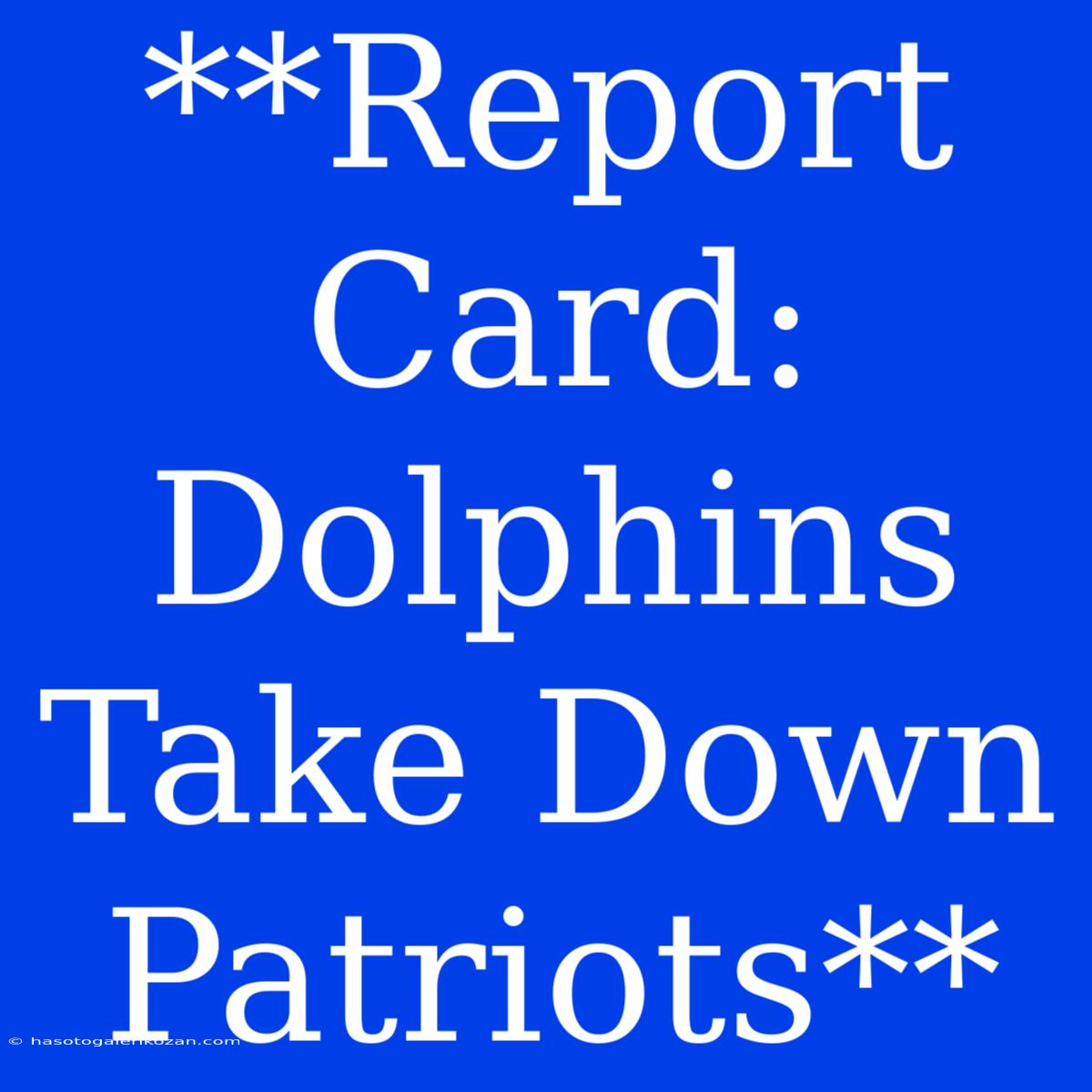 **Report Card: Dolphins Take Down Patriots**