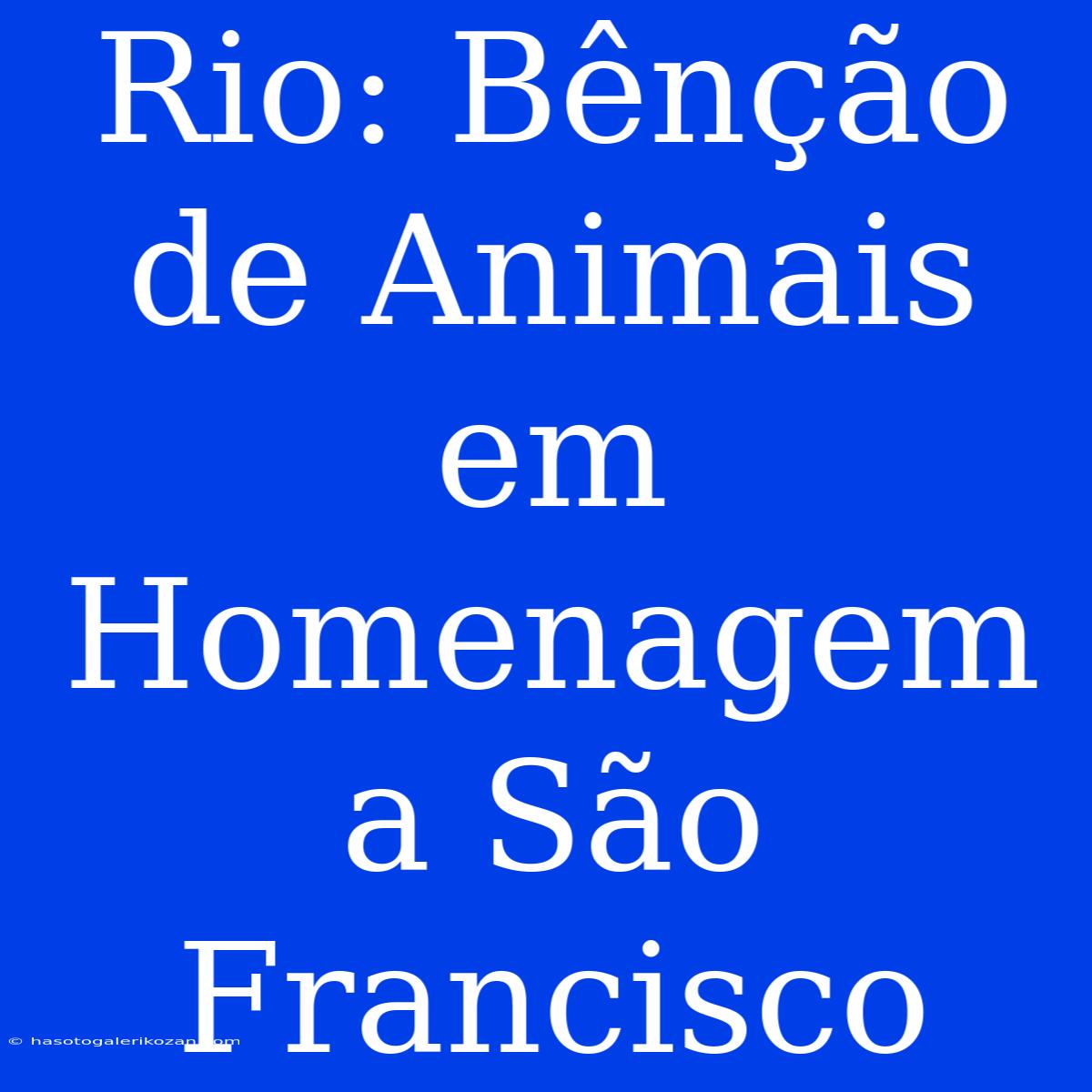 Rio: Bênção De Animais Em Homenagem A São Francisco