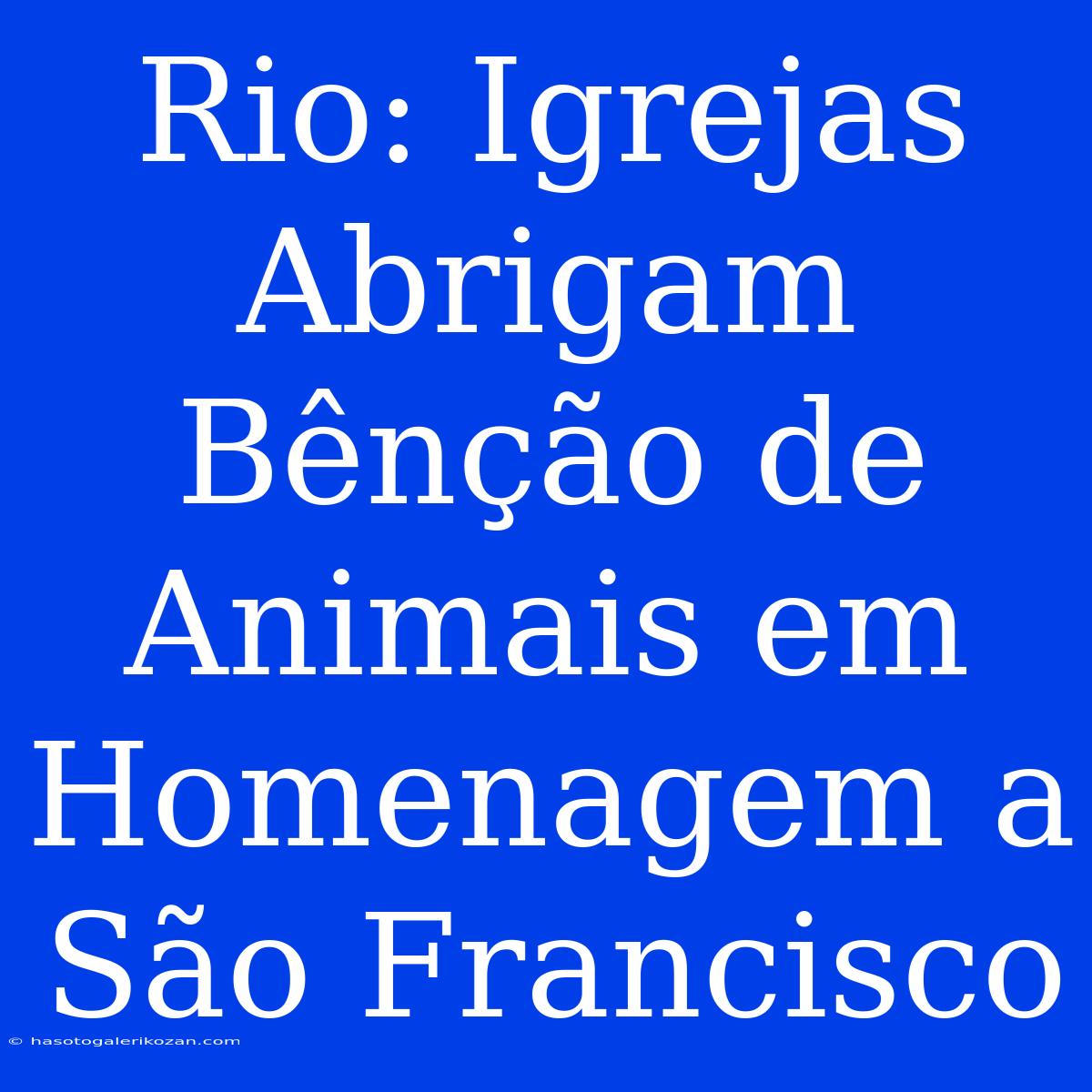 Rio: Igrejas Abrigam Bênção De Animais Em Homenagem A São Francisco