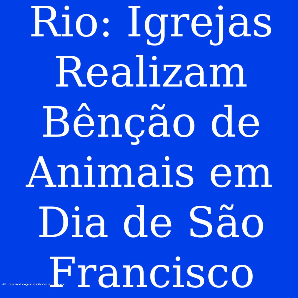 Rio: Igrejas Realizam Bênção De Animais Em Dia De São Francisco