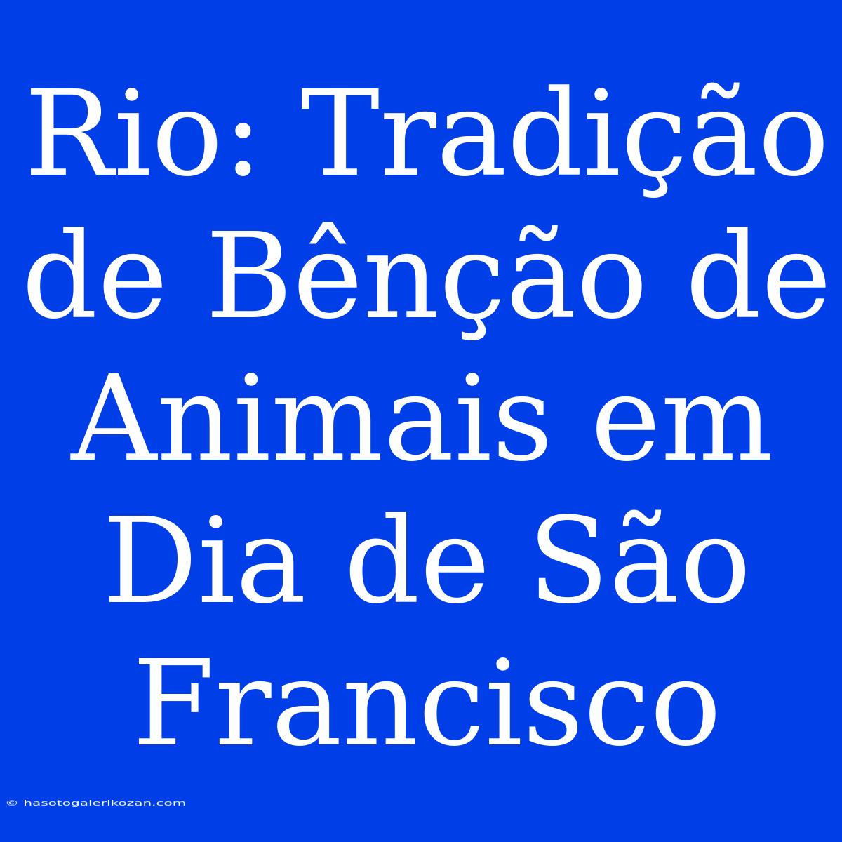 Rio: Tradição De Bênção De Animais Em Dia De São Francisco