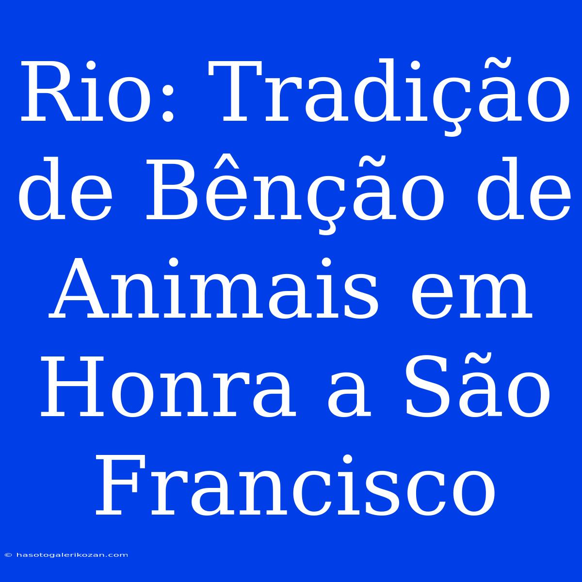 Rio: Tradição De Bênção De Animais Em Honra A São Francisco