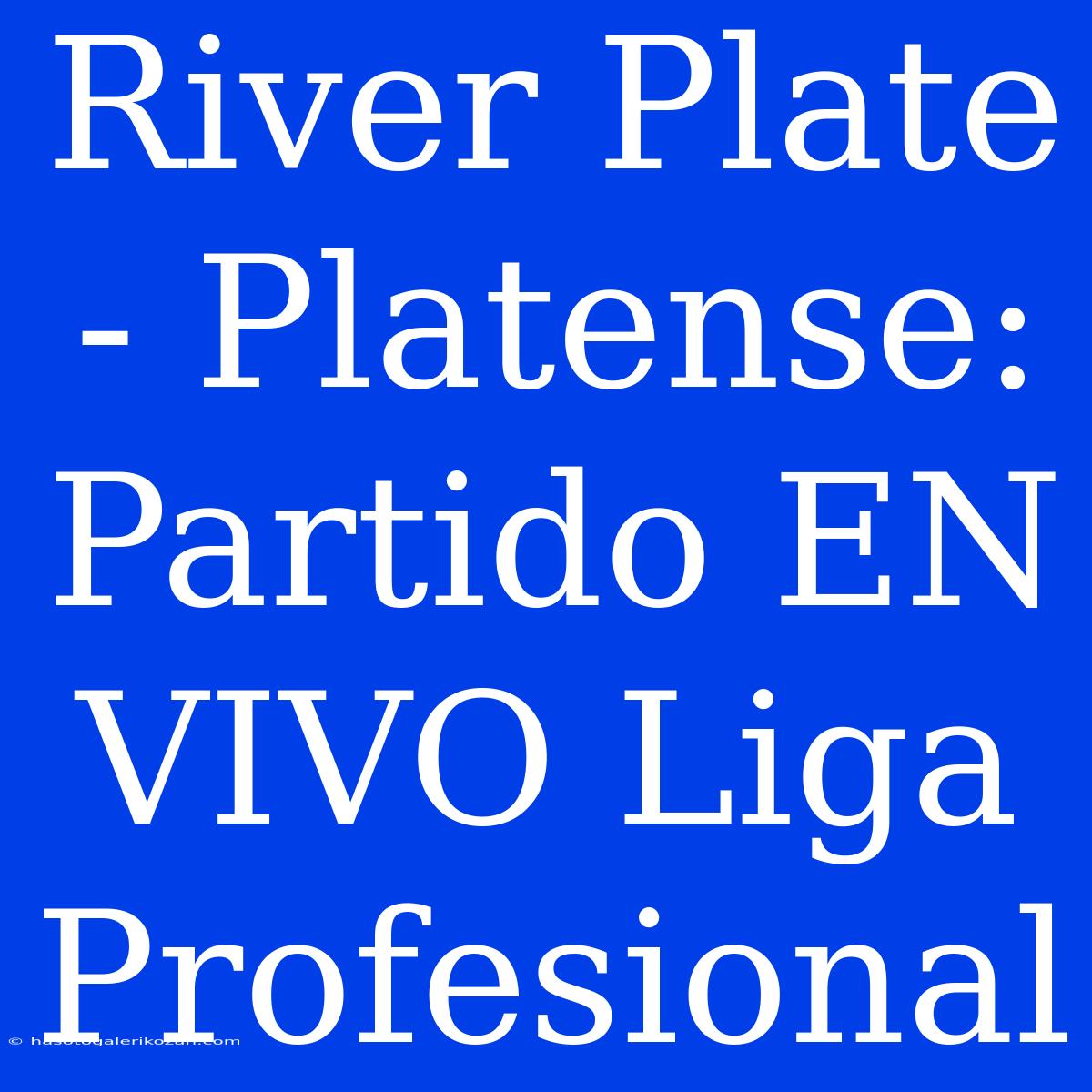 River Plate - Platense: Partido EN VIVO Liga Profesional