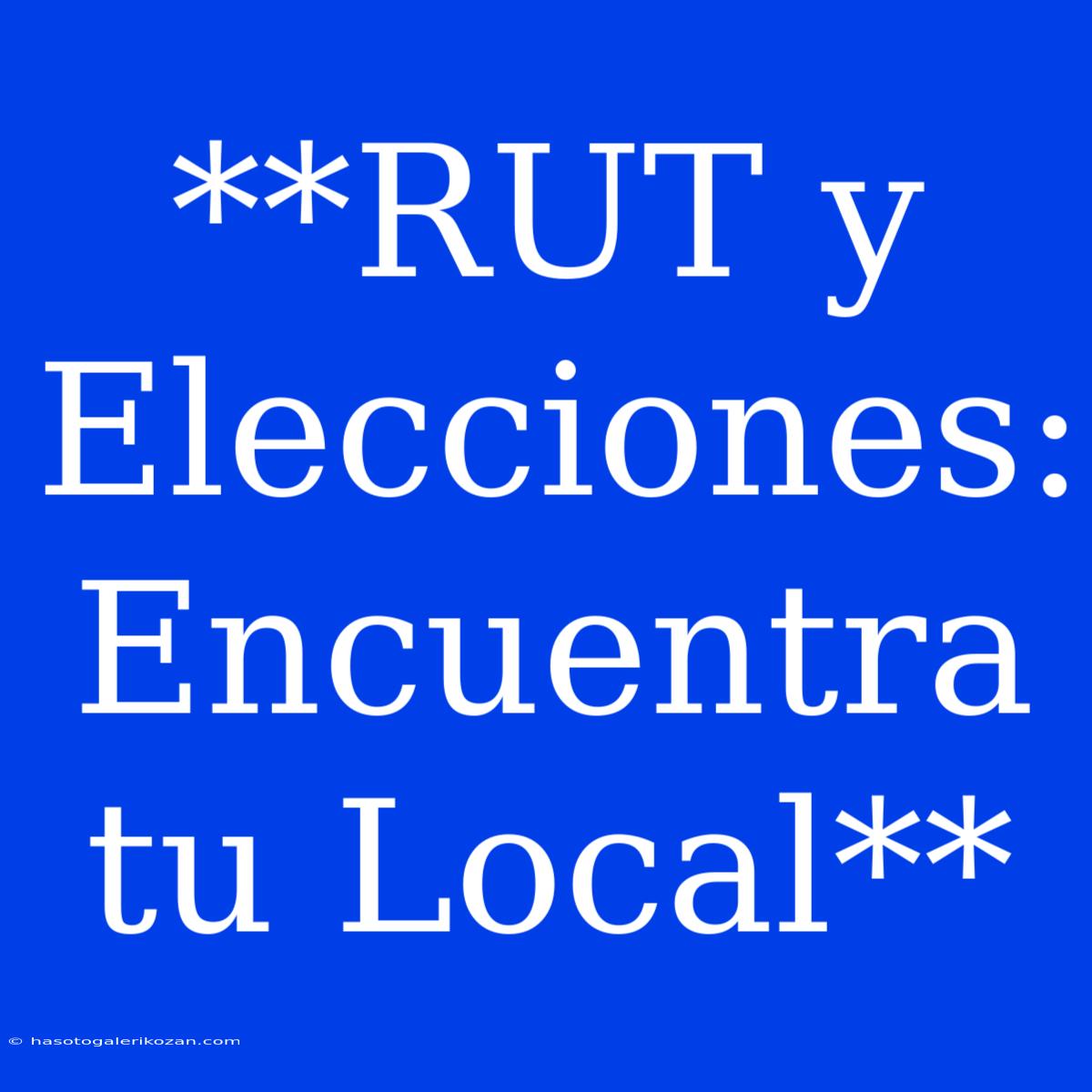 **RUT Y Elecciones: Encuentra Tu Local**