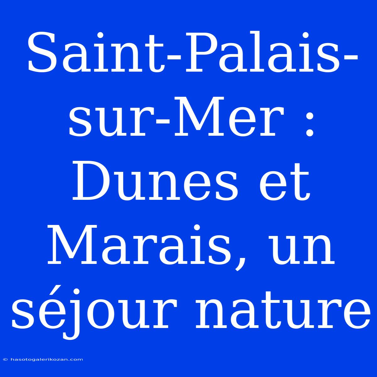 Saint-Palais-sur-Mer : Dunes Et Marais, Un Séjour Nature