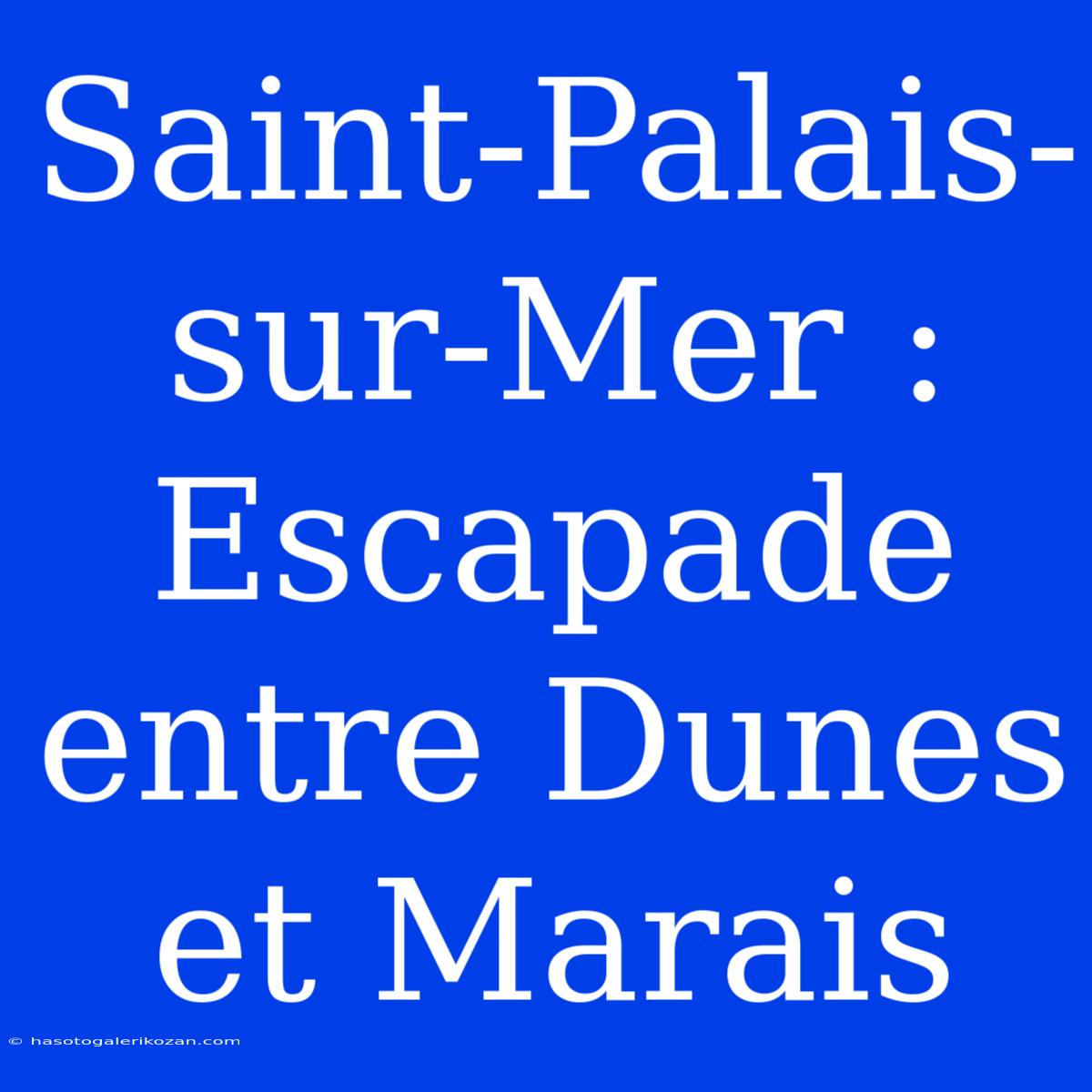 Saint-Palais-sur-Mer : Escapade Entre Dunes Et Marais