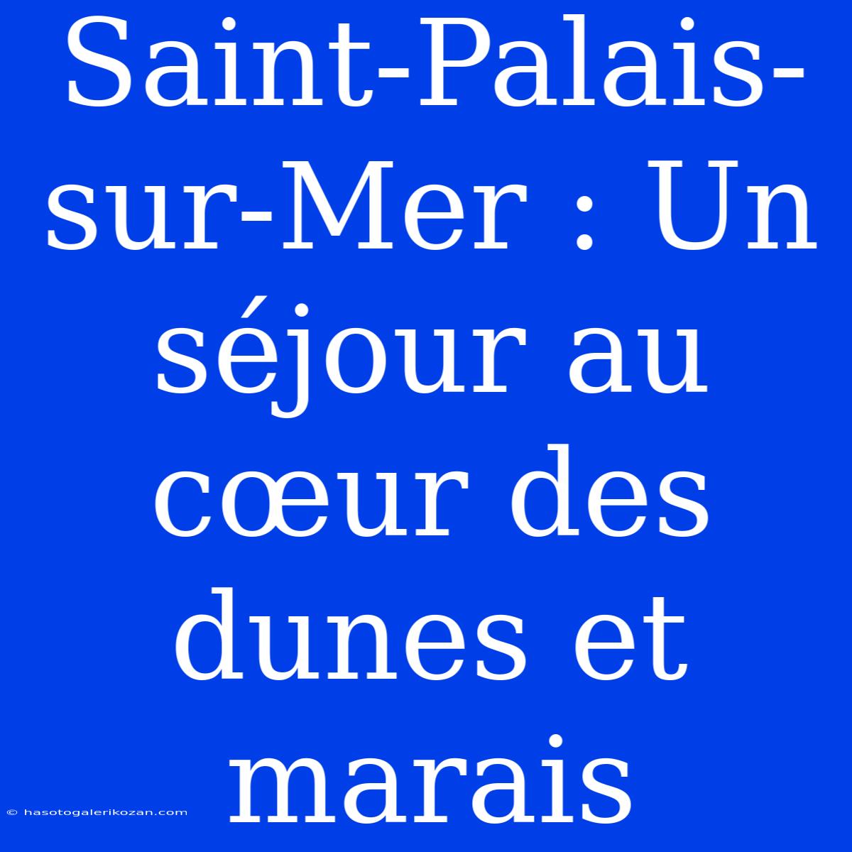 Saint-Palais-sur-Mer : Un Séjour Au Cœur Des Dunes Et Marais