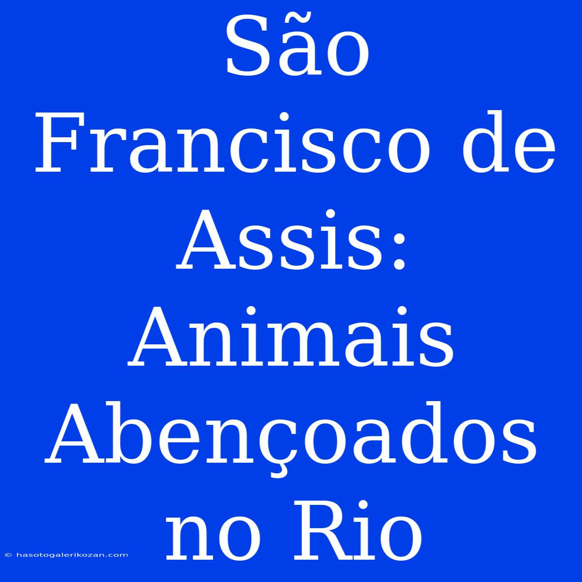 São Francisco De Assis: Animais Abençoados No Rio