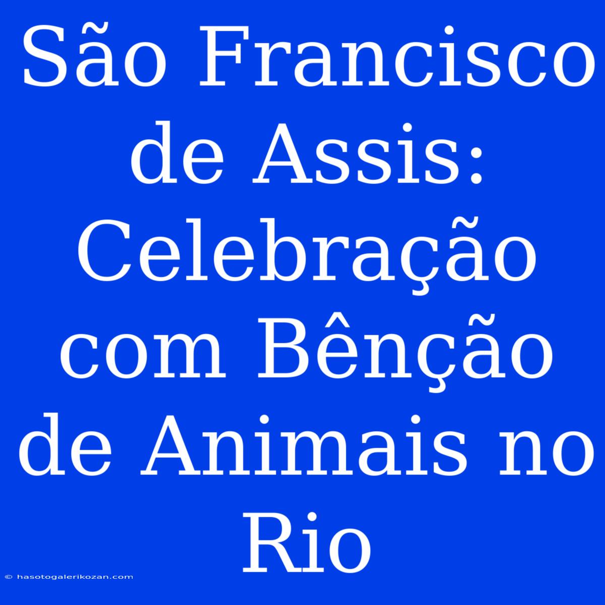 São Francisco De Assis: Celebração Com Bênção De Animais No Rio