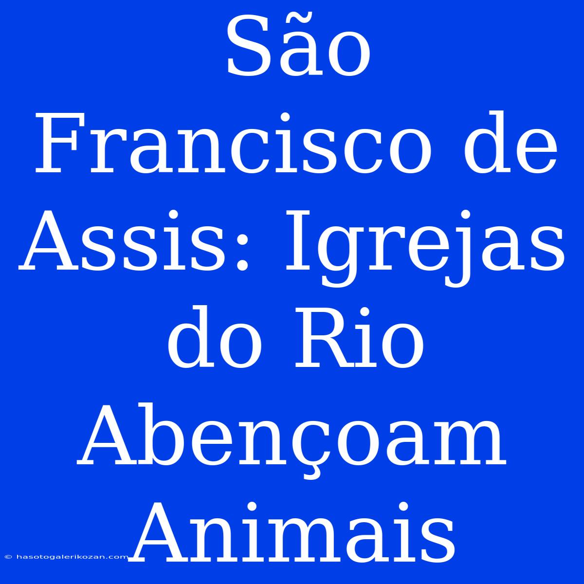 São Francisco De Assis: Igrejas Do Rio Abençoam Animais