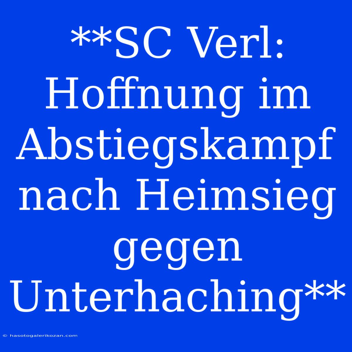 **SC Verl: Hoffnung Im Abstiegskampf Nach Heimsieg Gegen Unterhaching**