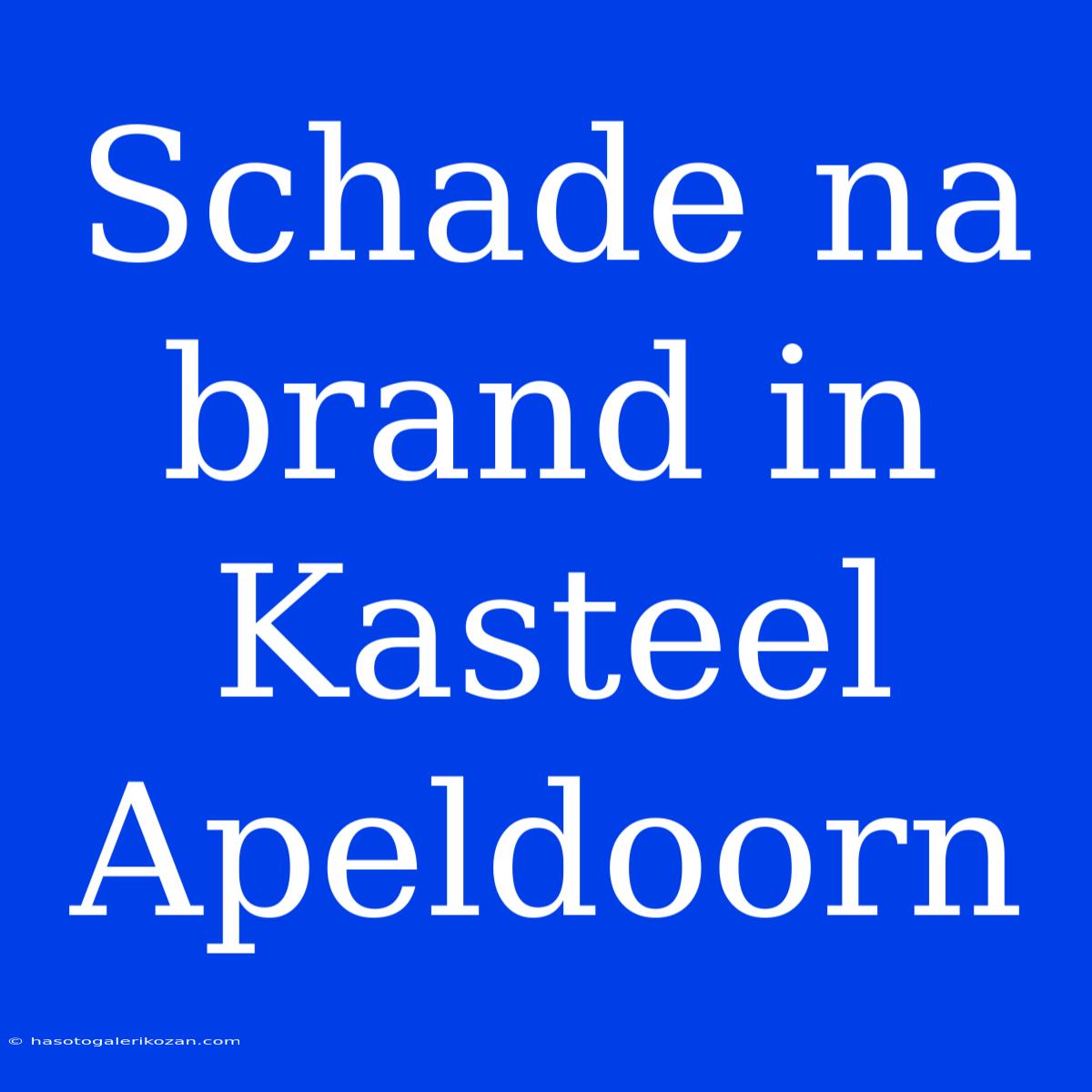 Schade Na Brand In Kasteel Apeldoorn