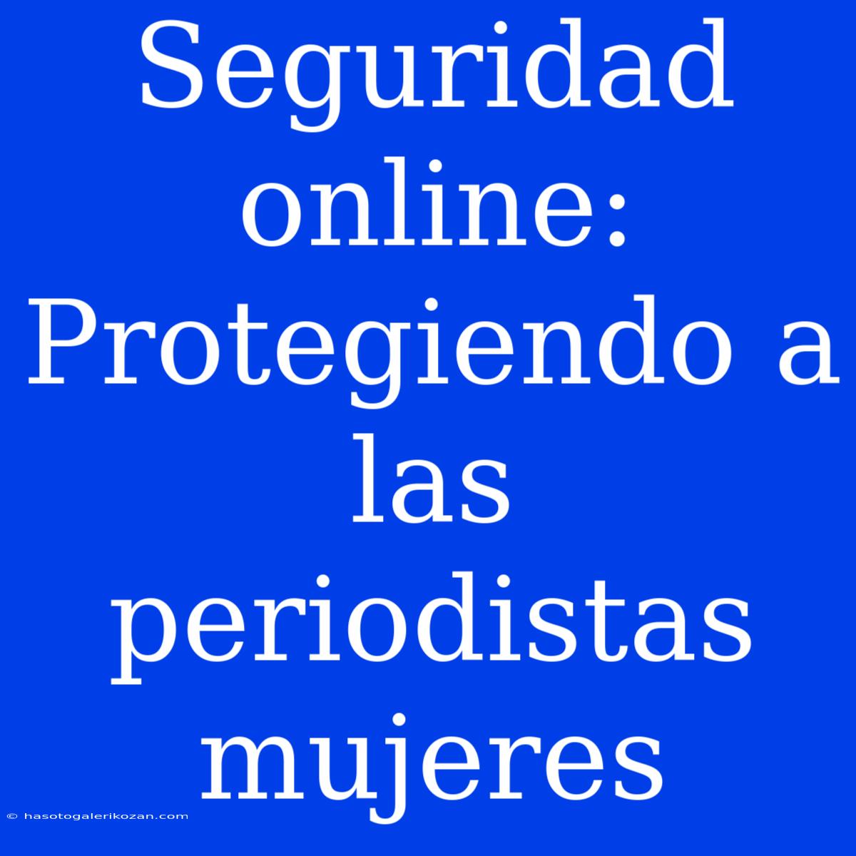 Seguridad Online: Protegiendo A Las Periodistas Mujeres 