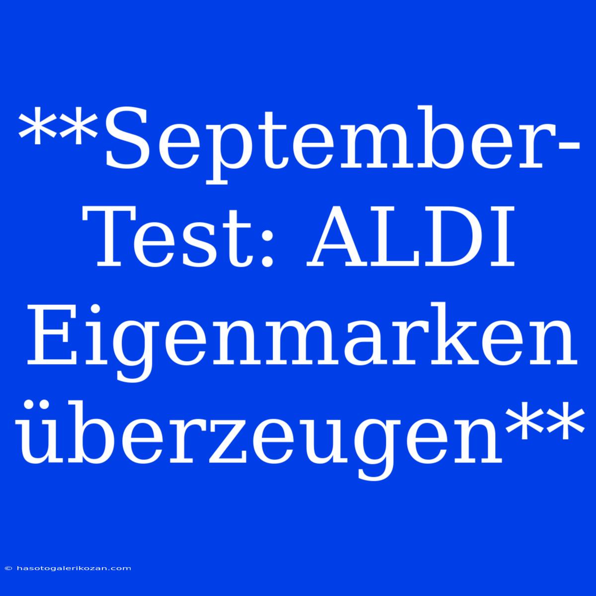 **September-Test: ALDI Eigenmarken Überzeugen**