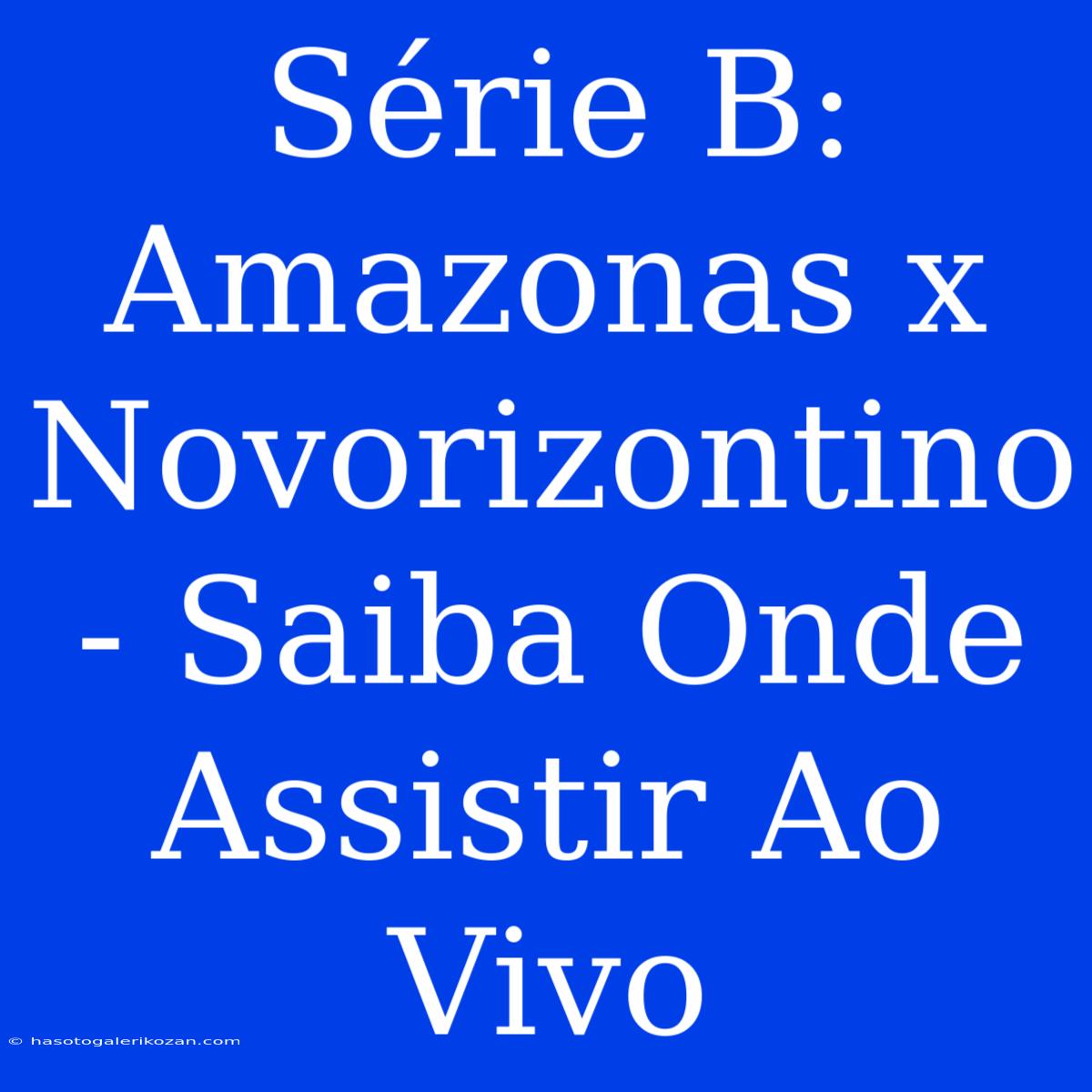 Série B: Amazonas X Novorizontino - Saiba Onde Assistir Ao Vivo 