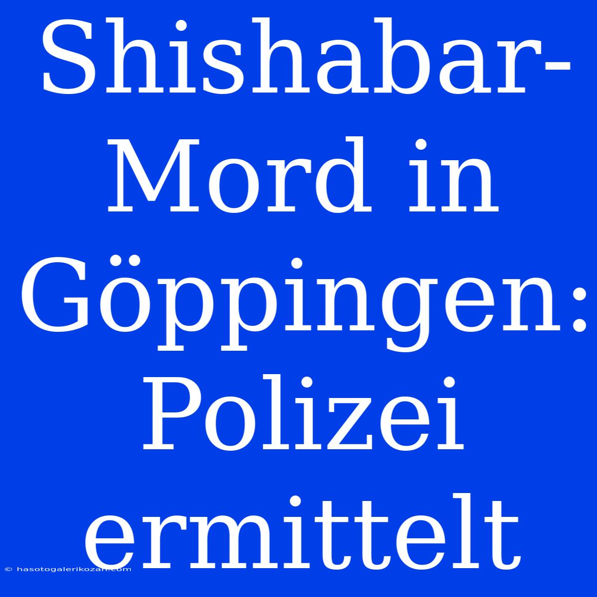 Shishabar-Mord In Göppingen: Polizei Ermittelt