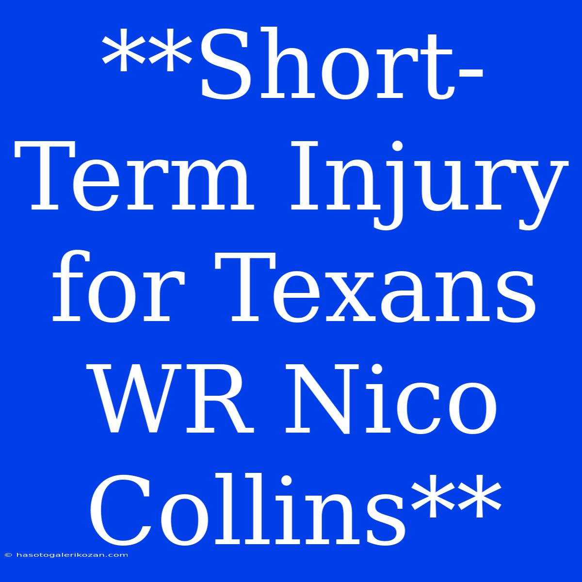 **Short-Term Injury For Texans WR Nico Collins**