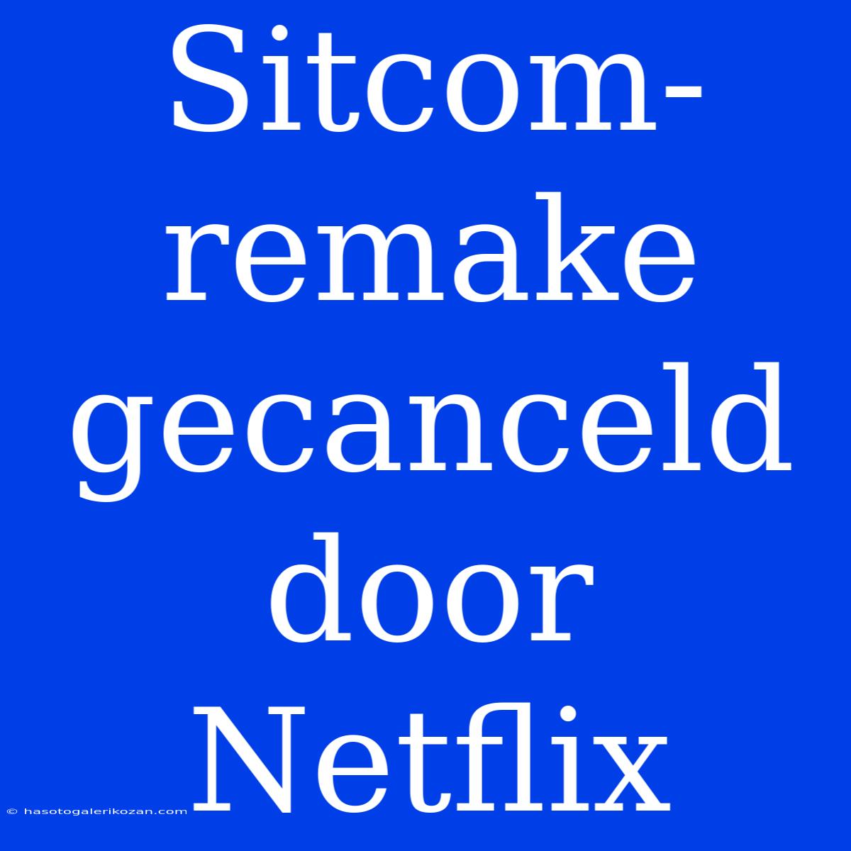 Sitcom-remake Gecanceld Door Netflix