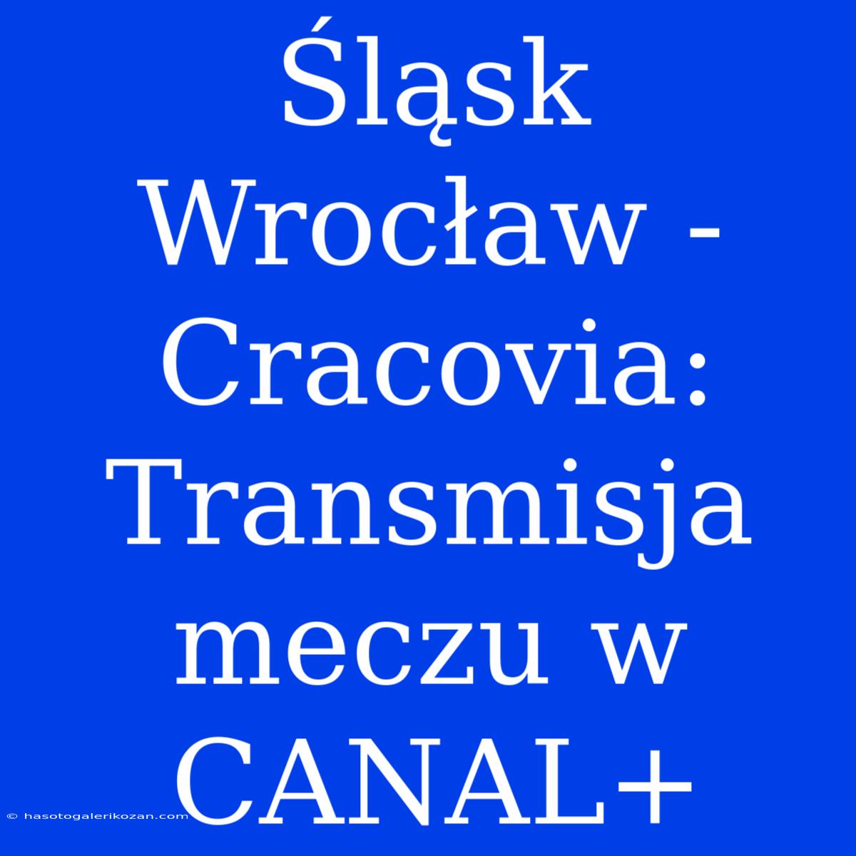 Śląsk Wrocław - Cracovia: Transmisja Meczu W CANAL+