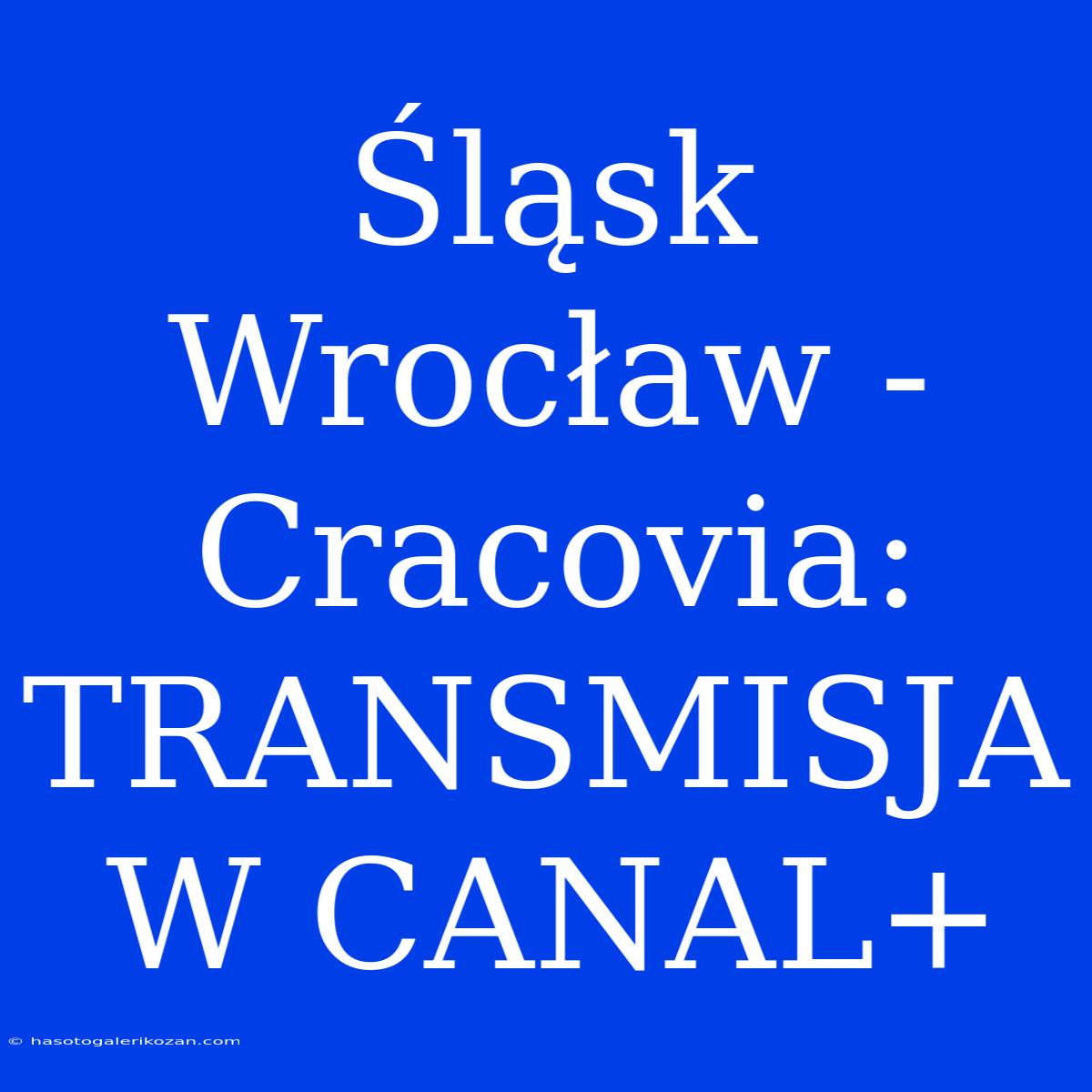 Śląsk Wrocław - Cracovia: TRANSMISJA W CANAL+