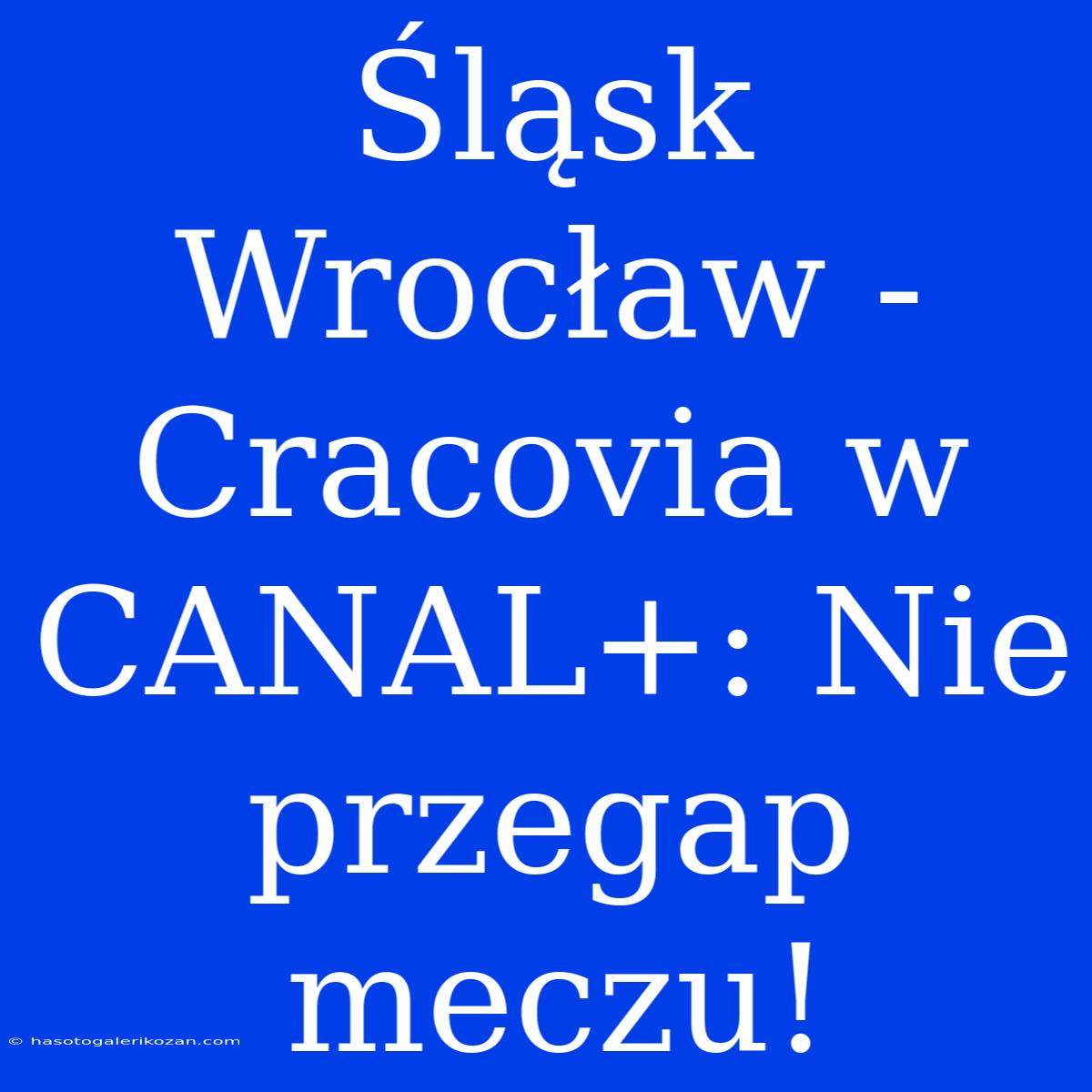 Śląsk Wrocław - Cracovia W CANAL+: Nie Przegap Meczu!