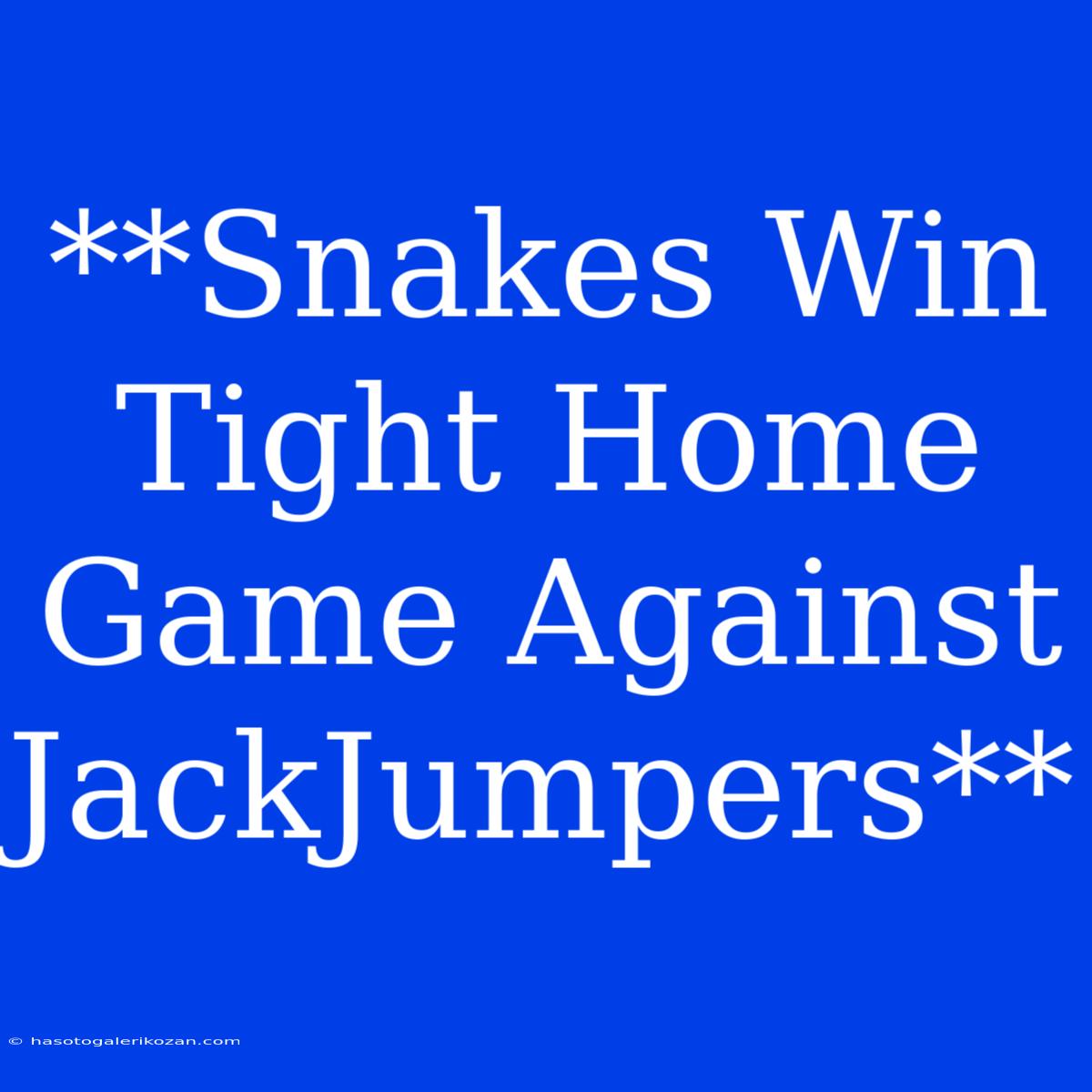 **Snakes Win Tight Home Game Against JackJumpers**