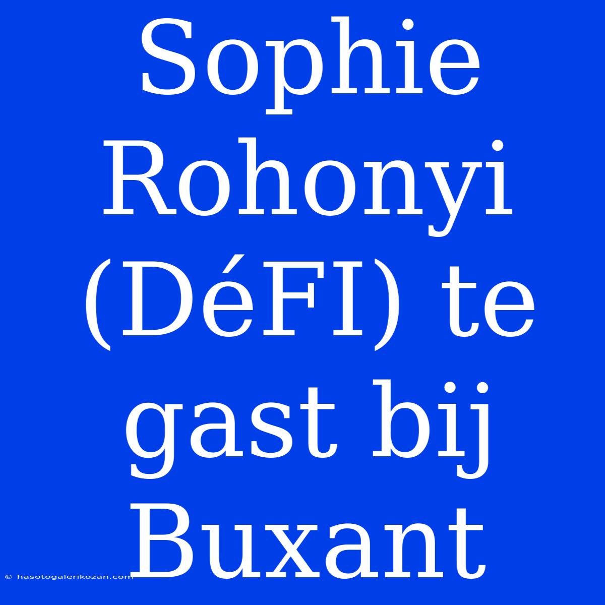 Sophie Rohonyi (DéFI) Te Gast Bij Buxant