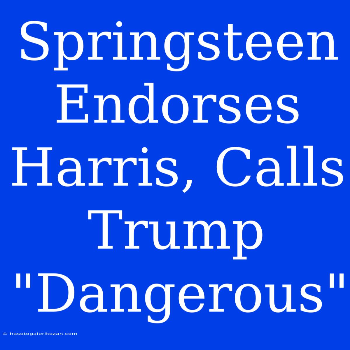 Springsteen Endorses Harris, Calls Trump 