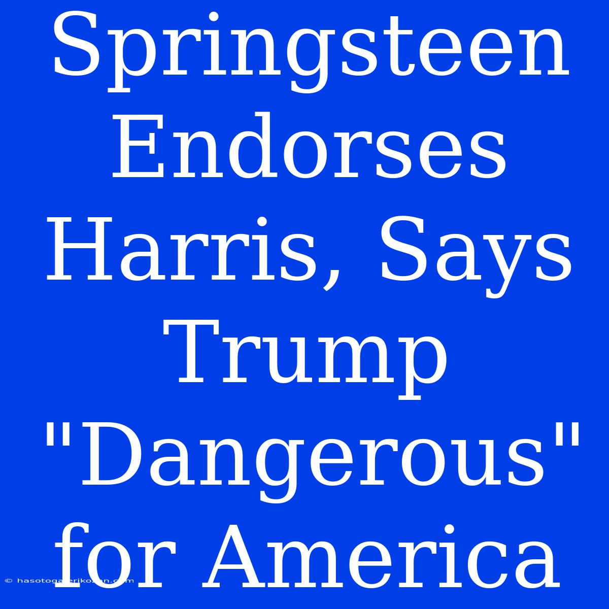 Springsteen Endorses Harris, Says Trump 