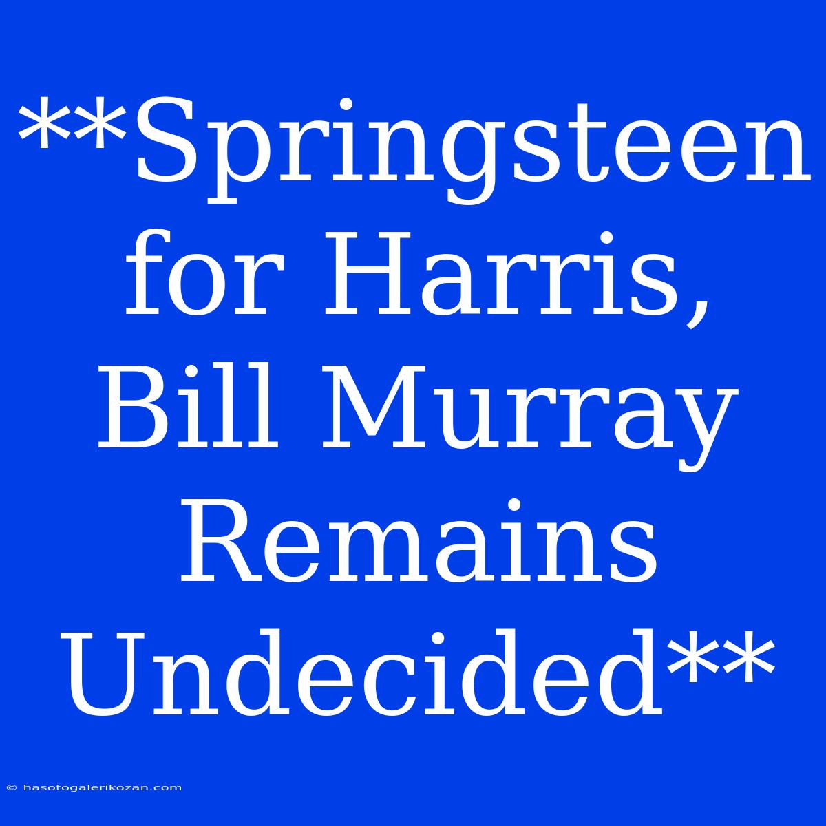 **Springsteen For Harris, Bill Murray Remains Undecided**