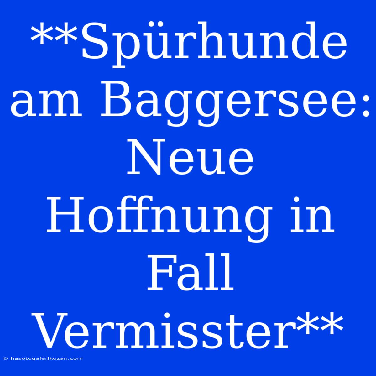 **Spürhunde Am Baggersee: Neue Hoffnung In Fall Vermisster**