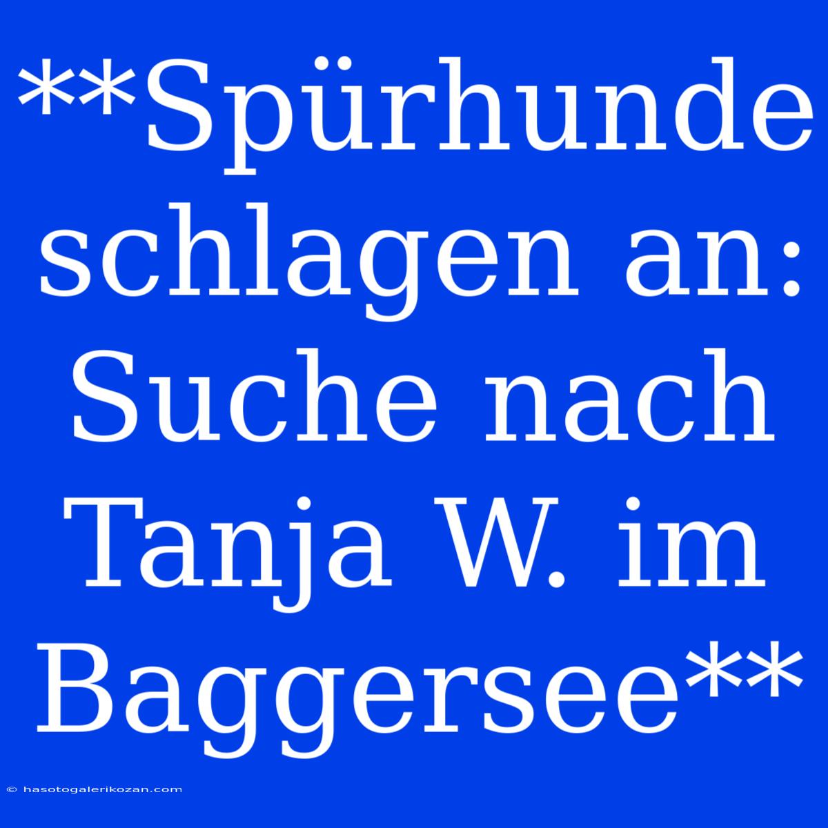 **Spürhunde Schlagen An: Suche Nach Tanja W. Im Baggersee**