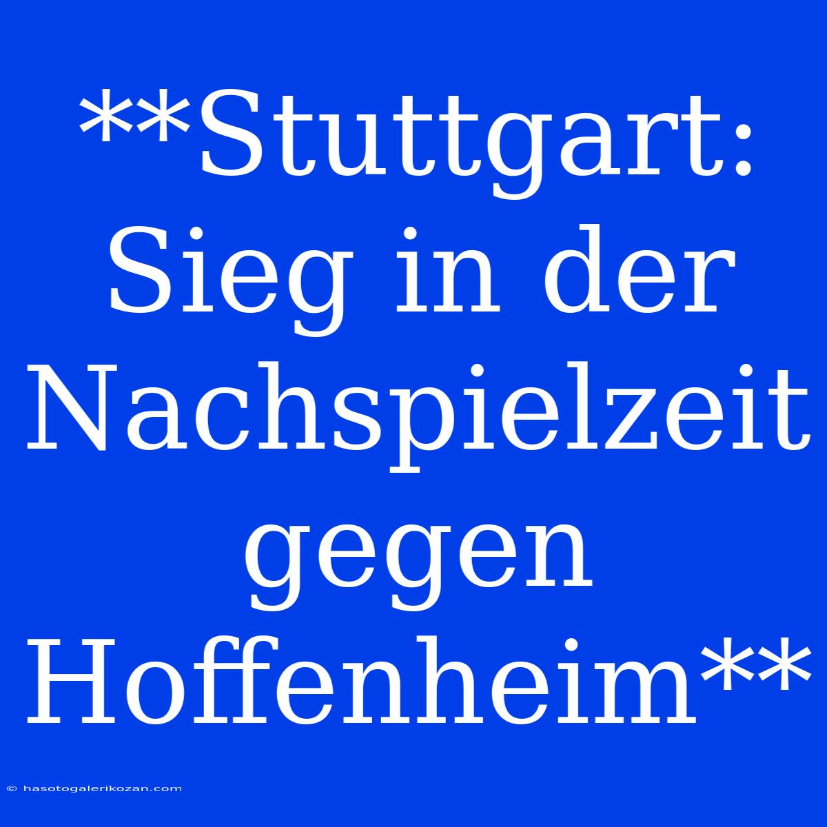 **Stuttgart: Sieg In Der Nachspielzeit Gegen Hoffenheim**