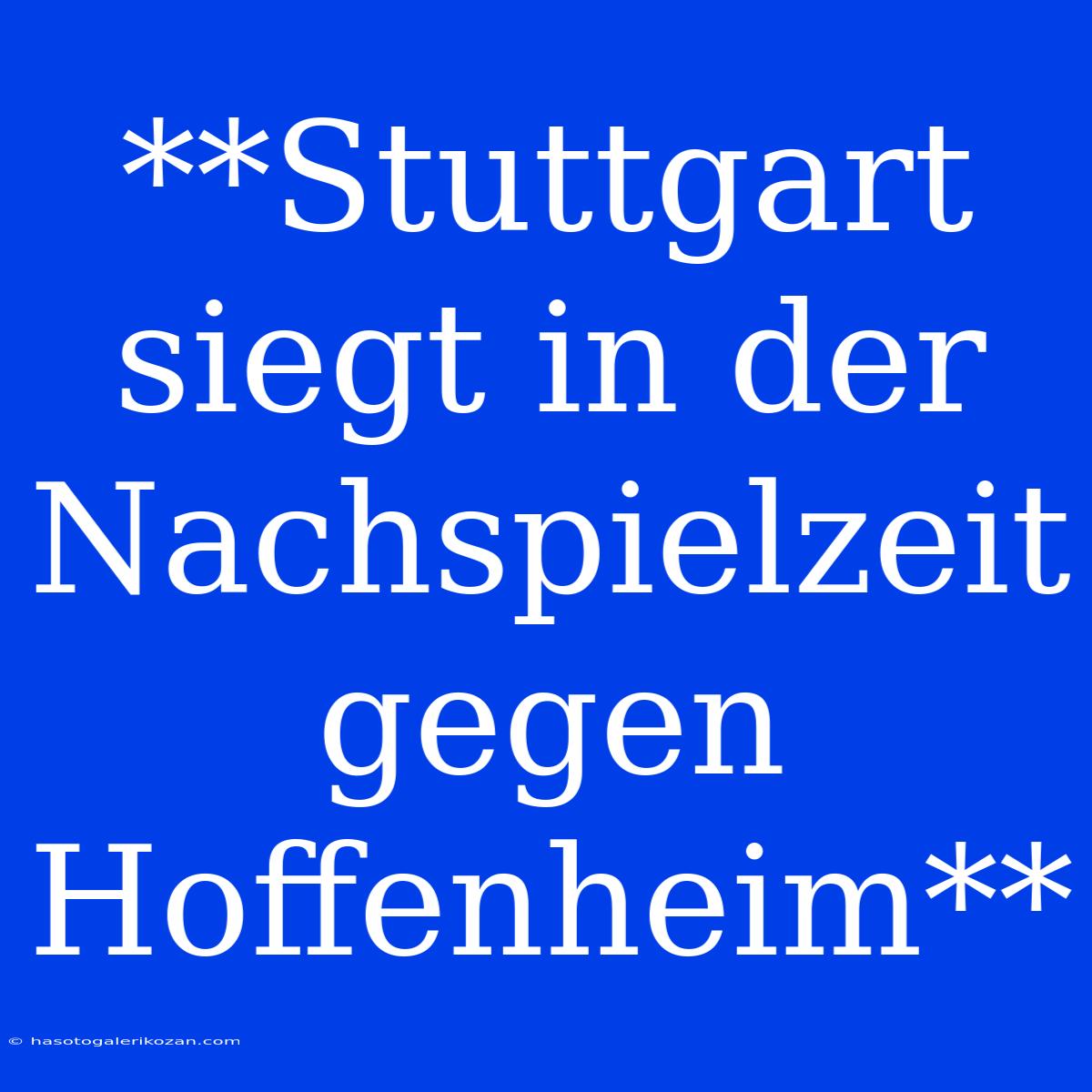 **Stuttgart Siegt In Der Nachspielzeit Gegen Hoffenheim**