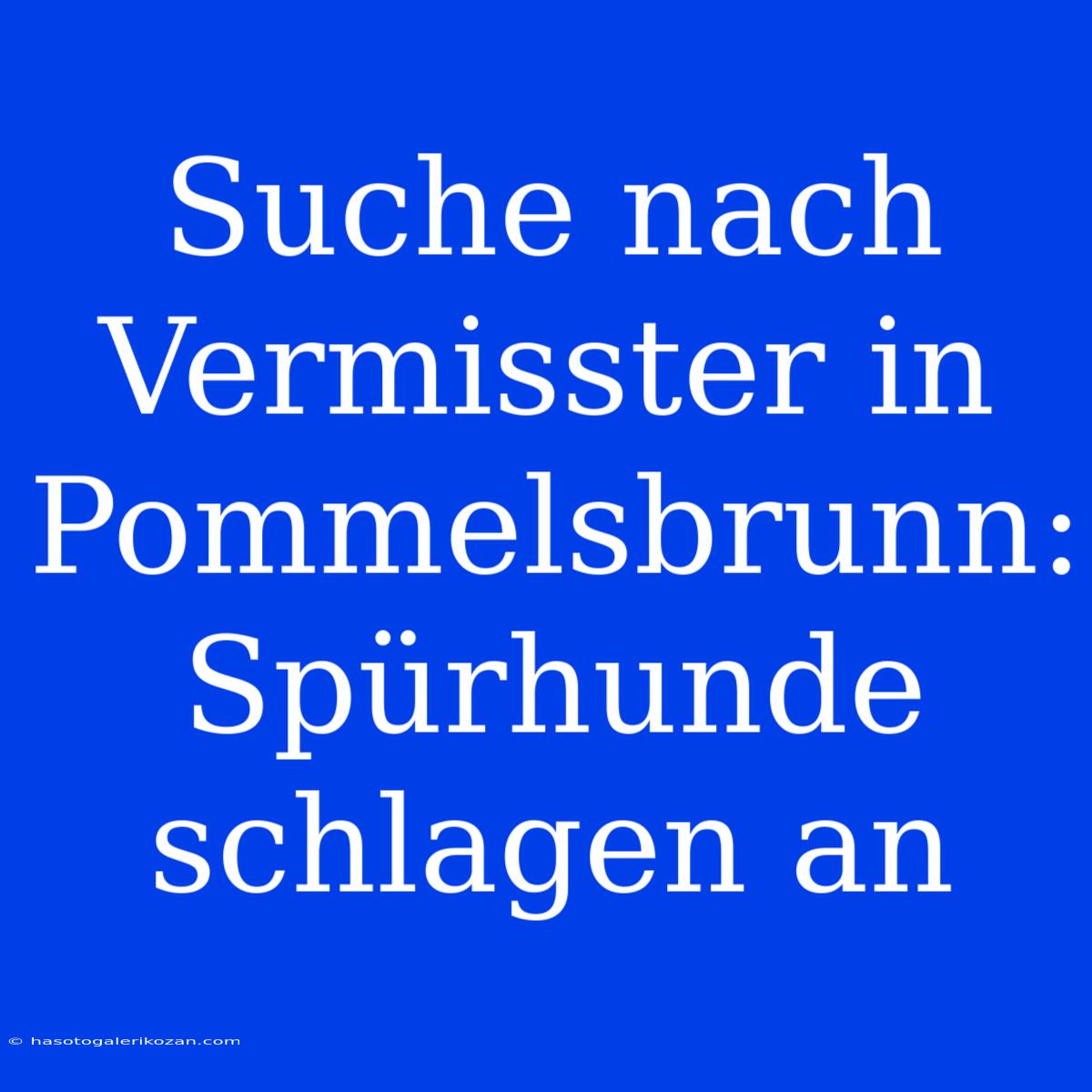 Suche Nach Vermisster In Pommelsbrunn: Spürhunde Schlagen An